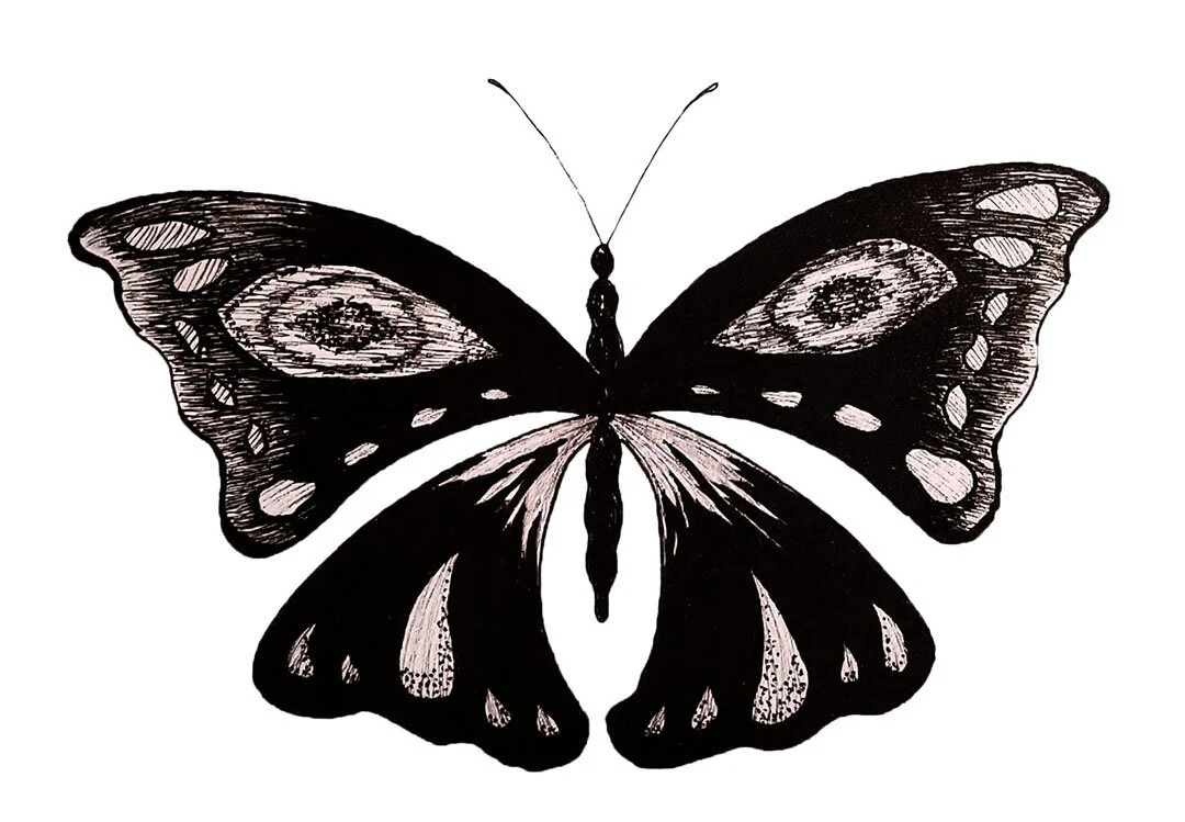 Leopidoptera