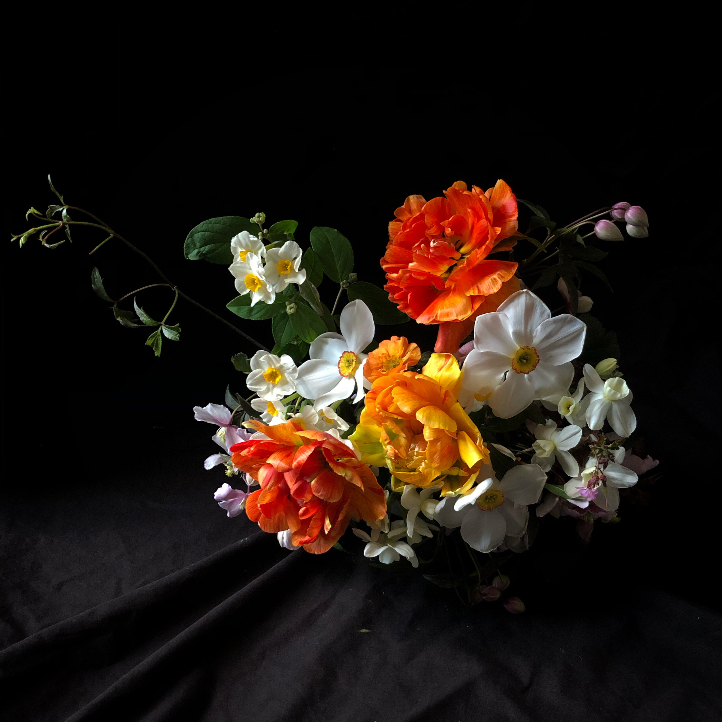 19CA2350-F4D6-48F9-9AA9-D9CC494D2F4E.JPG