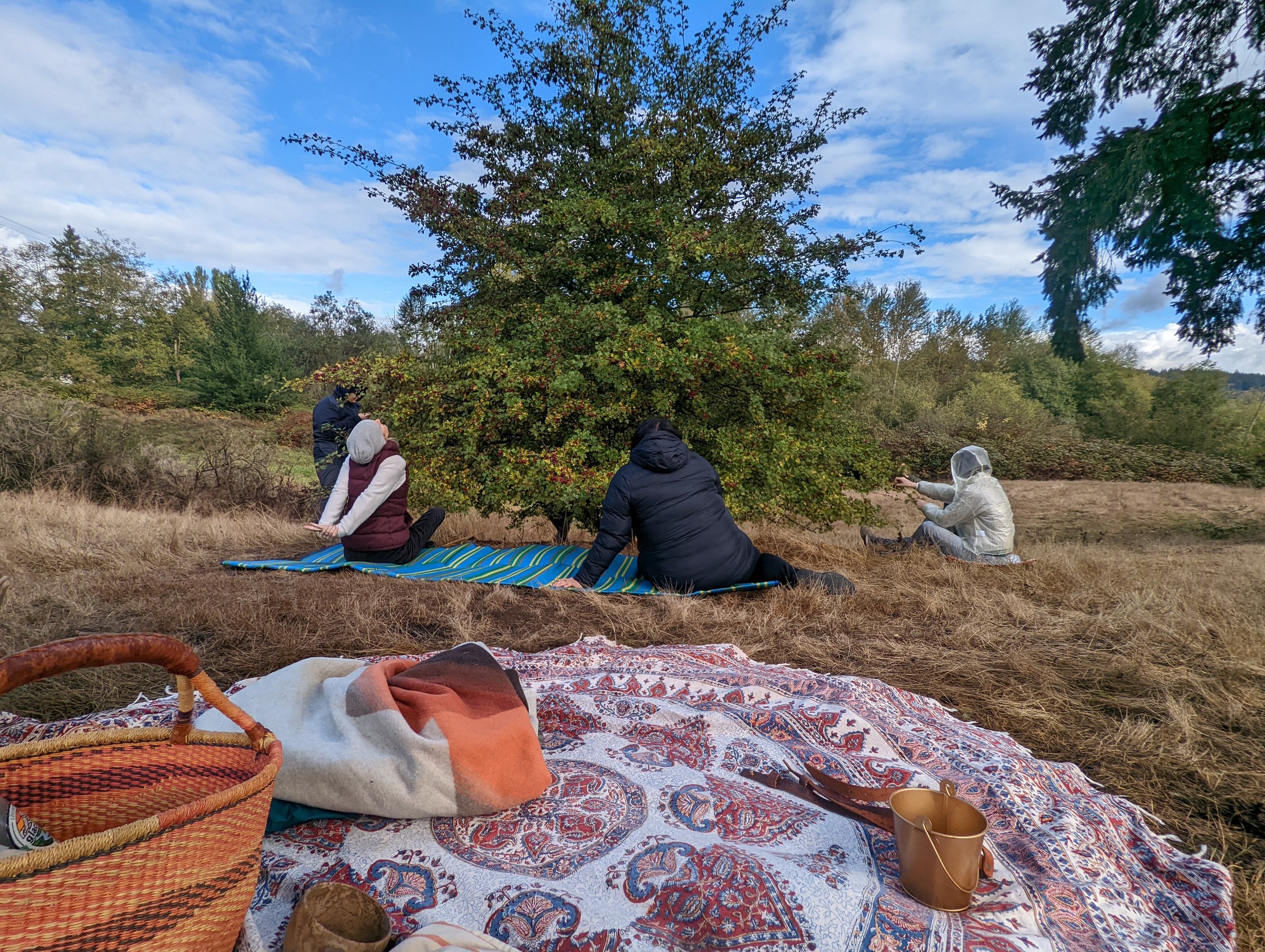 PXL_20221022_205827179 (1).jpg