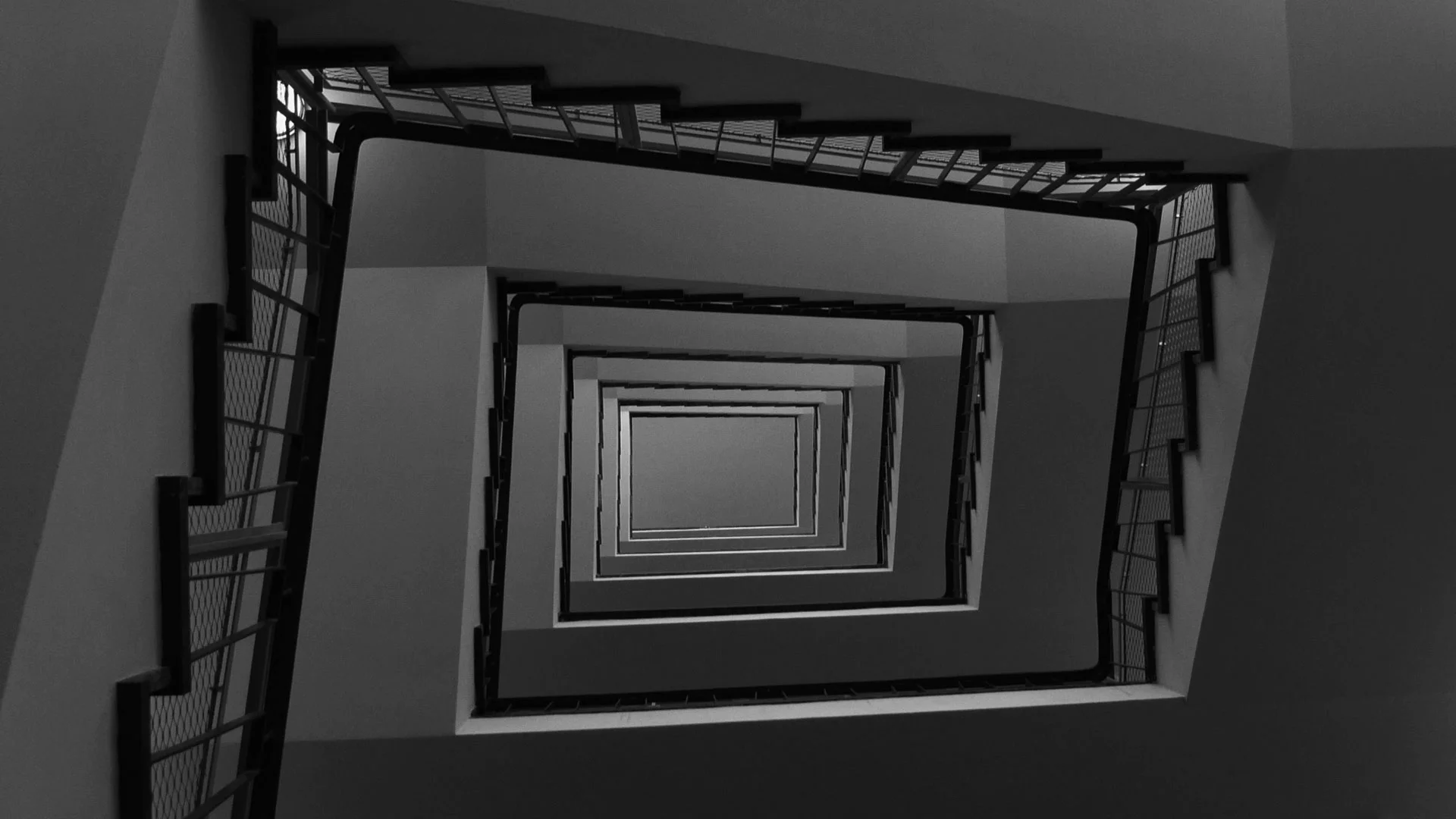 Silphium-17.jpg