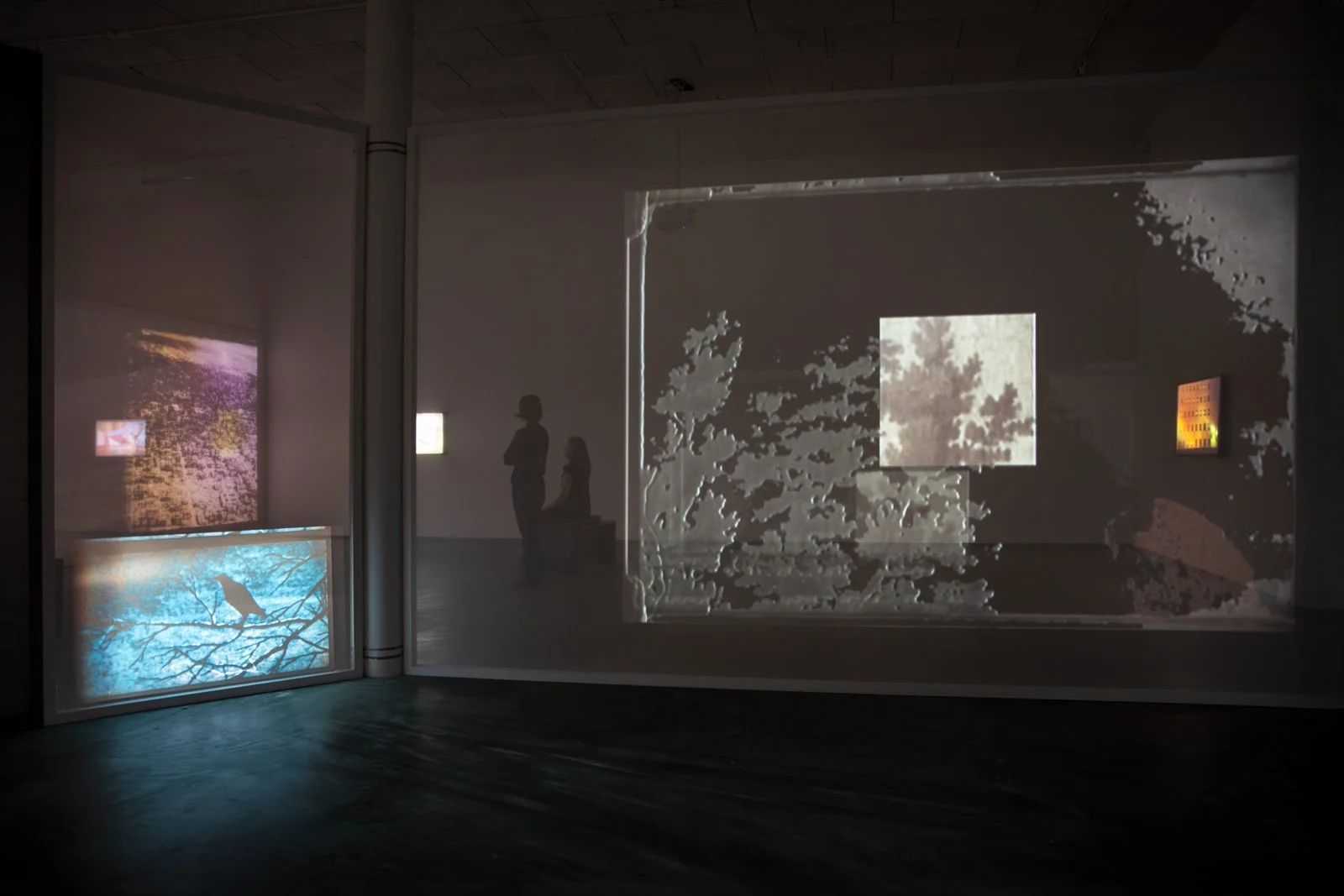 LinaSelander_C0A2874 2.jpg