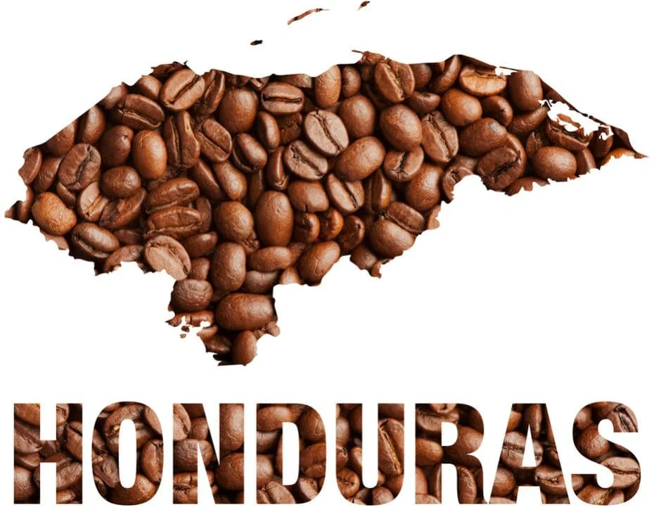 When You Buy Montecillos Coffee You Help the Environment