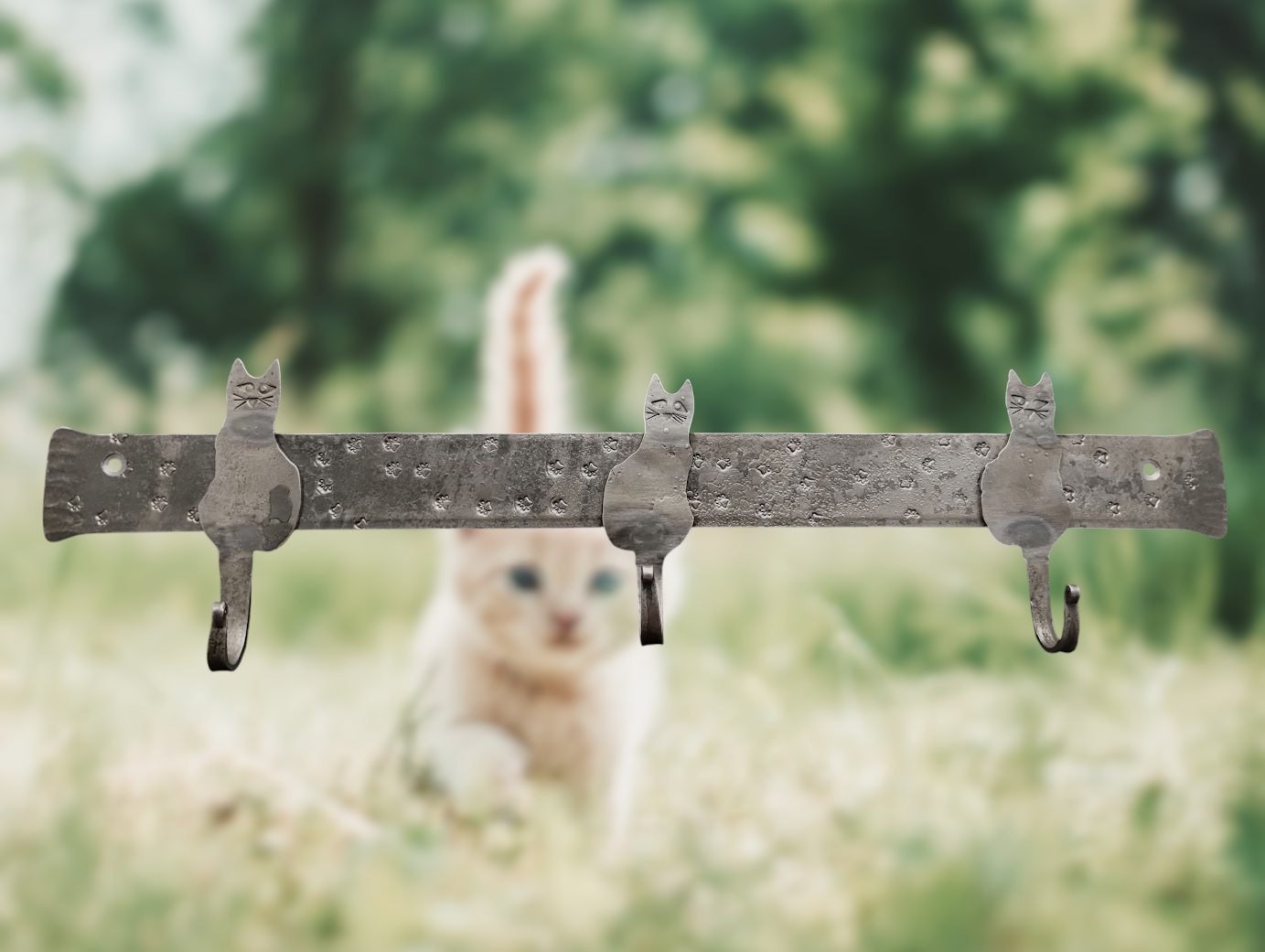 cat2.png
