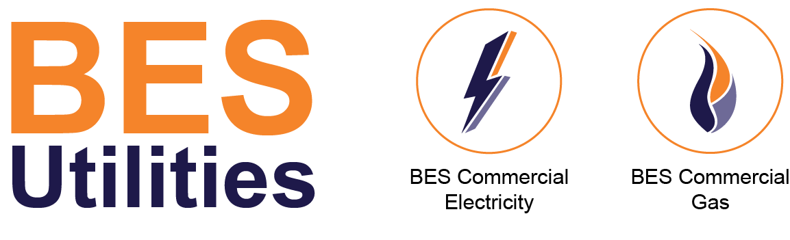BES-Group-2017.png