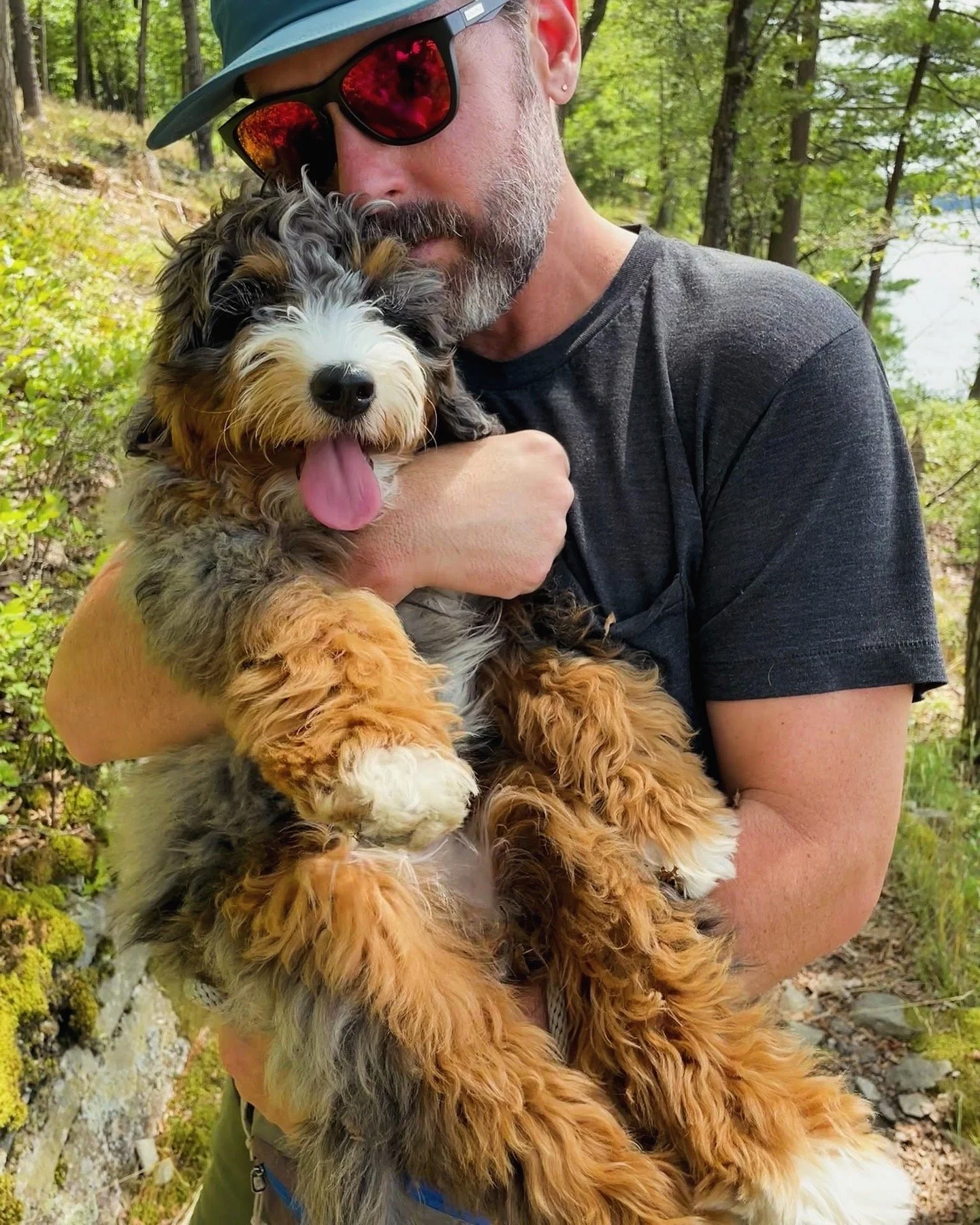 The Therapeutic Benefits of Dogs: Why Our Canine Companions Are Good for Our Health