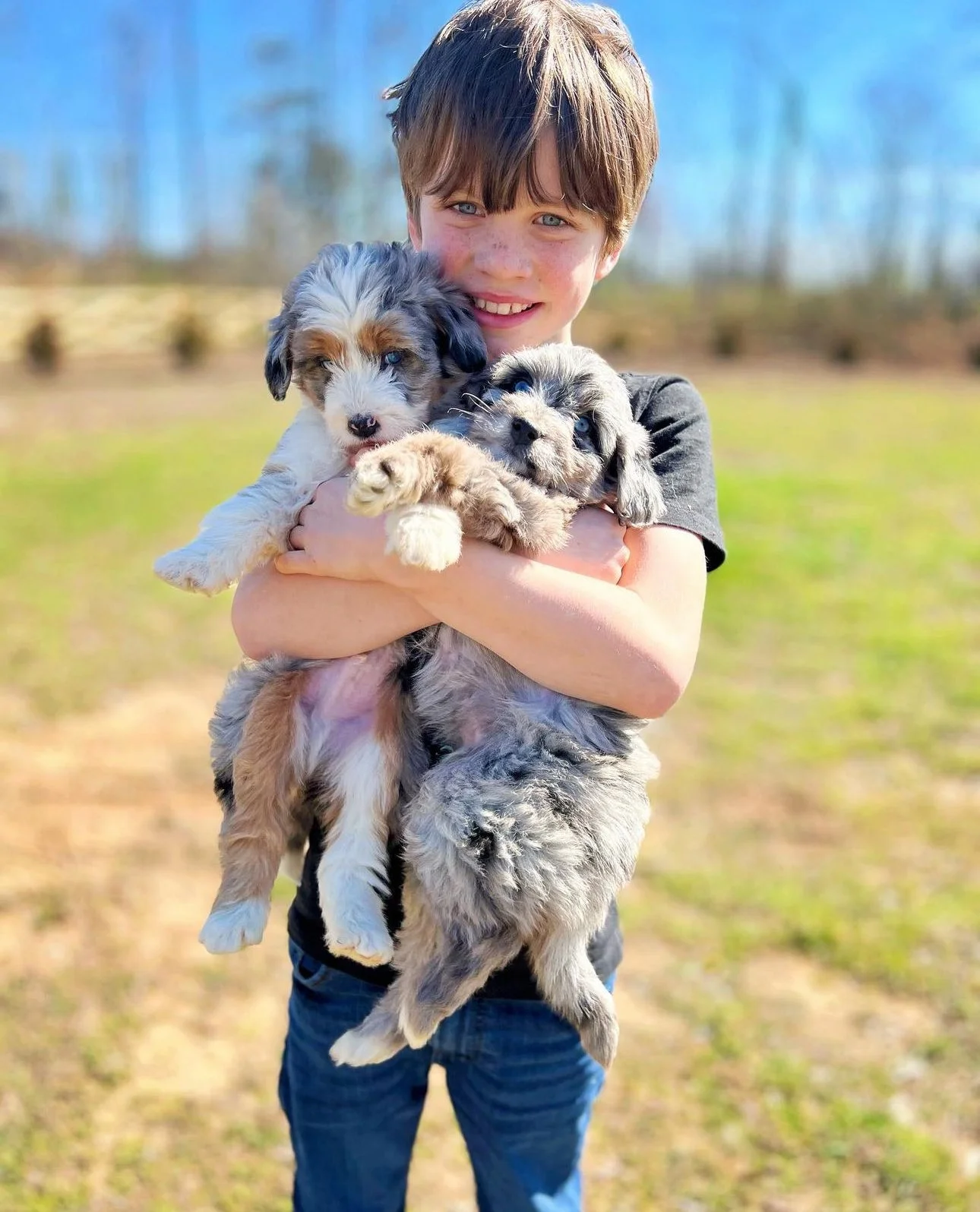 A Holistic Approach to Dog Breeding: The Importance of Detoxing and Limiting Medications