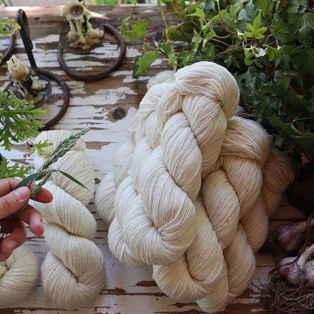 It&rsquo;s nearly time for us to release this year&rsquo;s palette of Homestead - scheduled for July 1st : 11AM PST (picking Canada day for an all canadian yarn made sense to me!) &bull;
&bull;
It&rsquo;s been great to see your pictures of what you&r