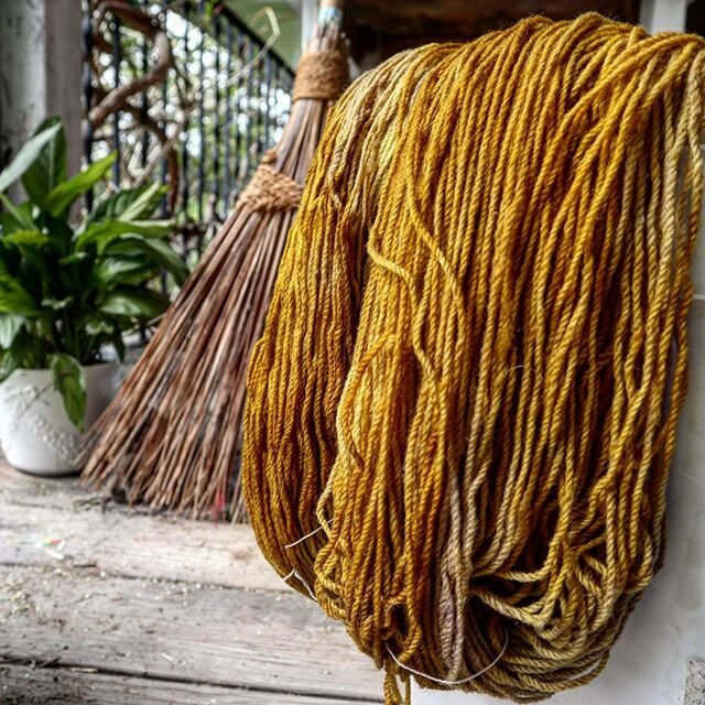 I ❤️brassy yellows! It&rsquo;s like hay, sunshine, and sparkly jewelry all in one. .
.
.
Pictured : Homestead fresh from the dye pots (this colour will be available in our next shop update July 1st!) .
.
.
#nonsuperwashyarn #farmyarn #westcoastcolour