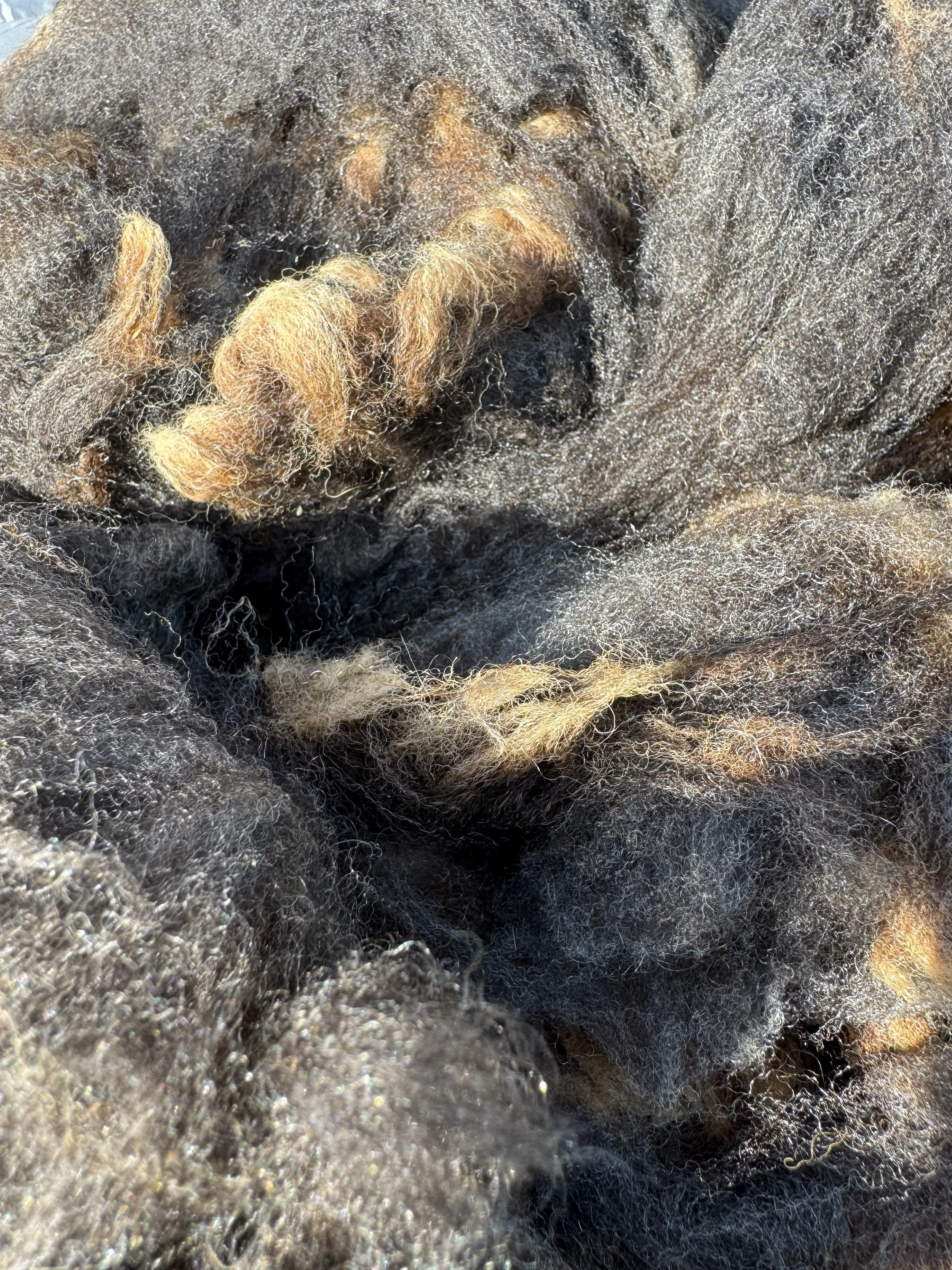 Fleece #1  weighing  in at a bouncing 4.25 lbs.