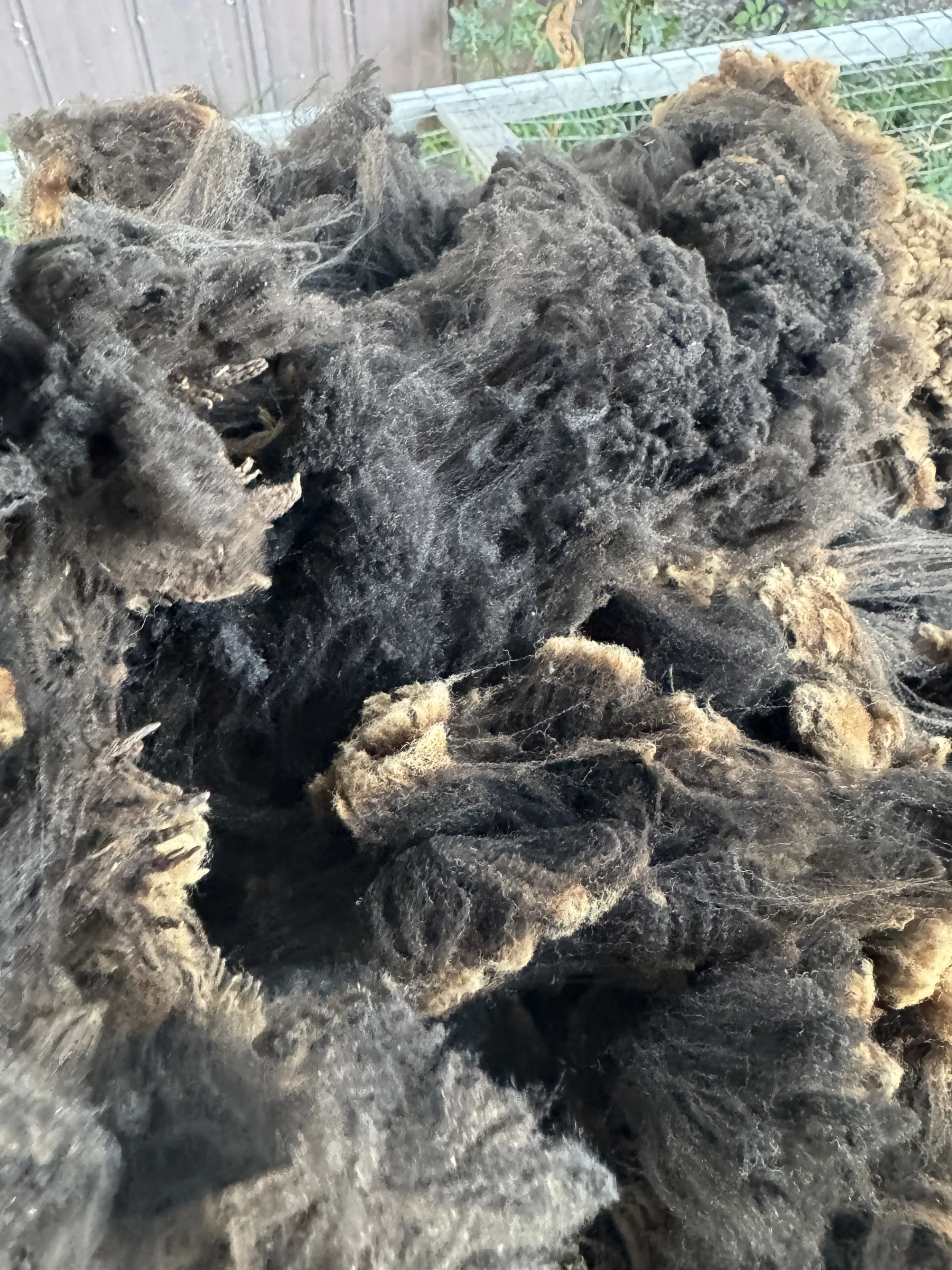 Fleece # 6 is nameless, but weighs 6.5 pds