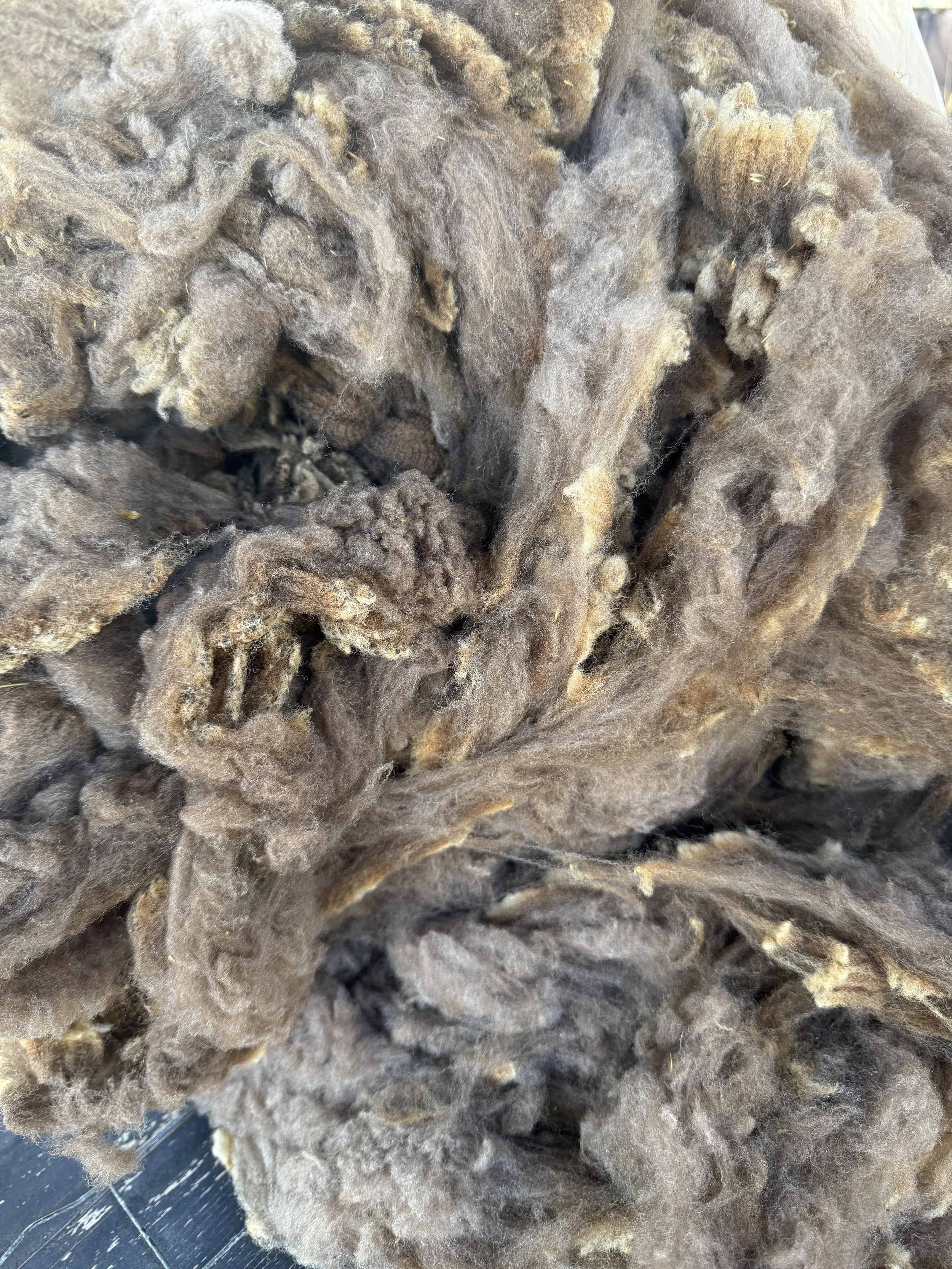 Nugget is Fleece #3-4 lbs