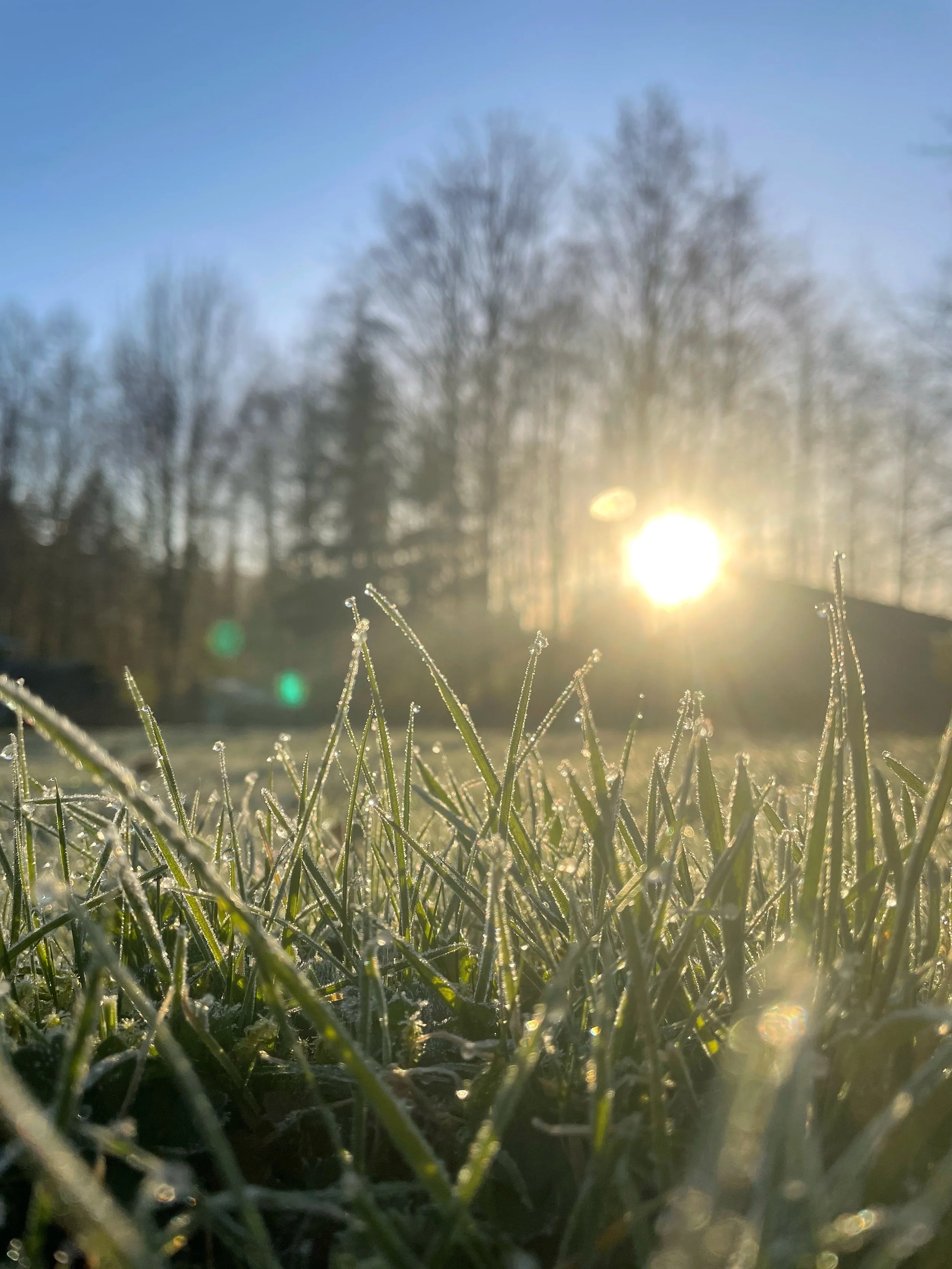 Naturally Vibrant. A letter from Spring.