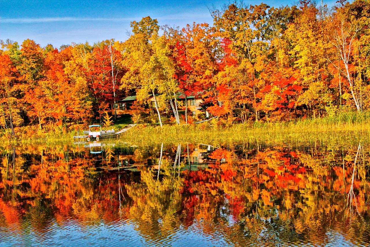 Moose.Fall.Masthead.jpg