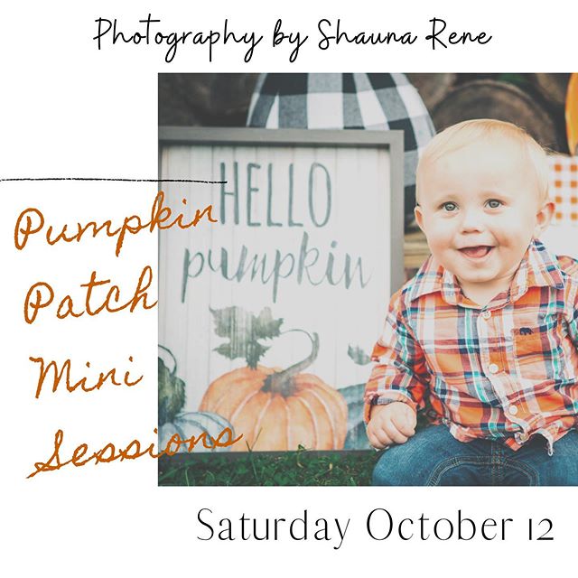 One spot left for pumpkin patch mini sessions tomorrow at 1:30pm! Who wants it??