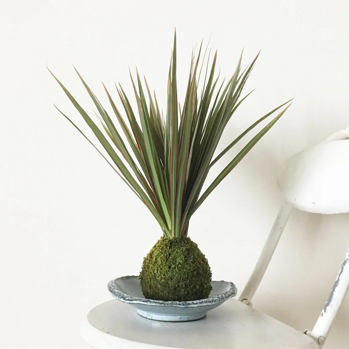 kokedama-0513.jpg