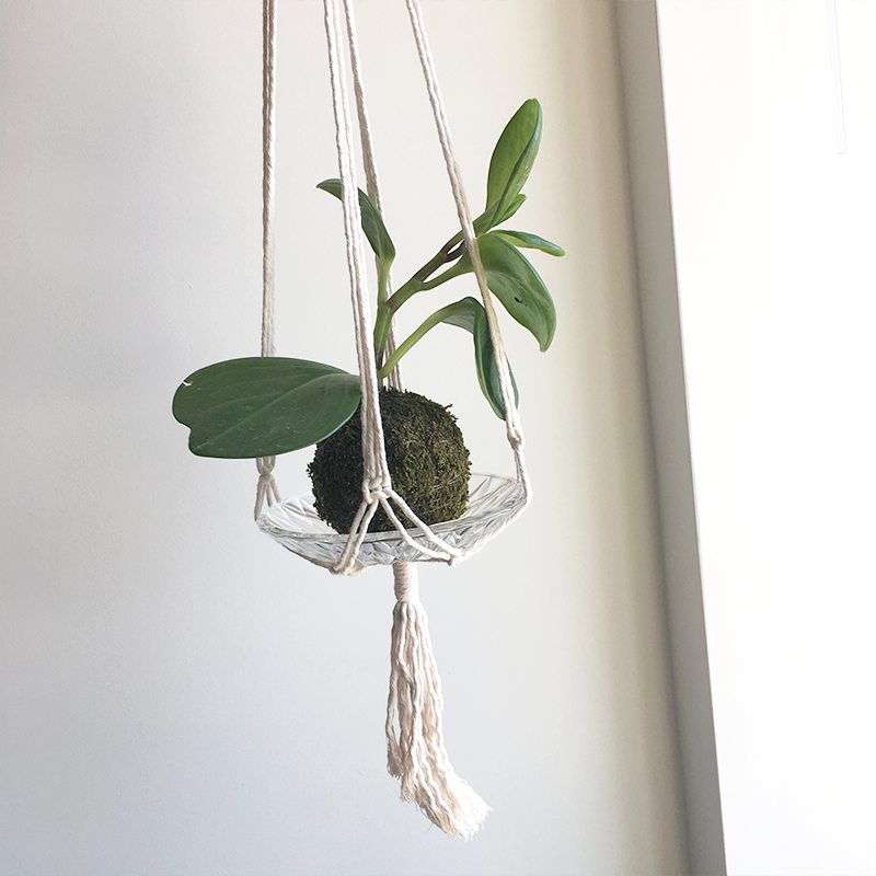string-kokedama.png