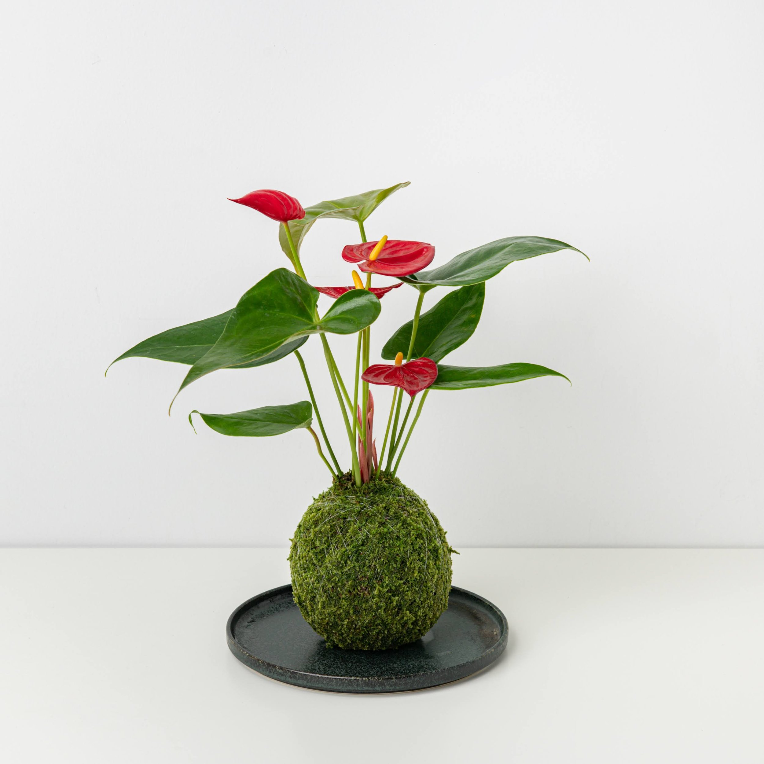 MOSS&GREEN-080.jpg