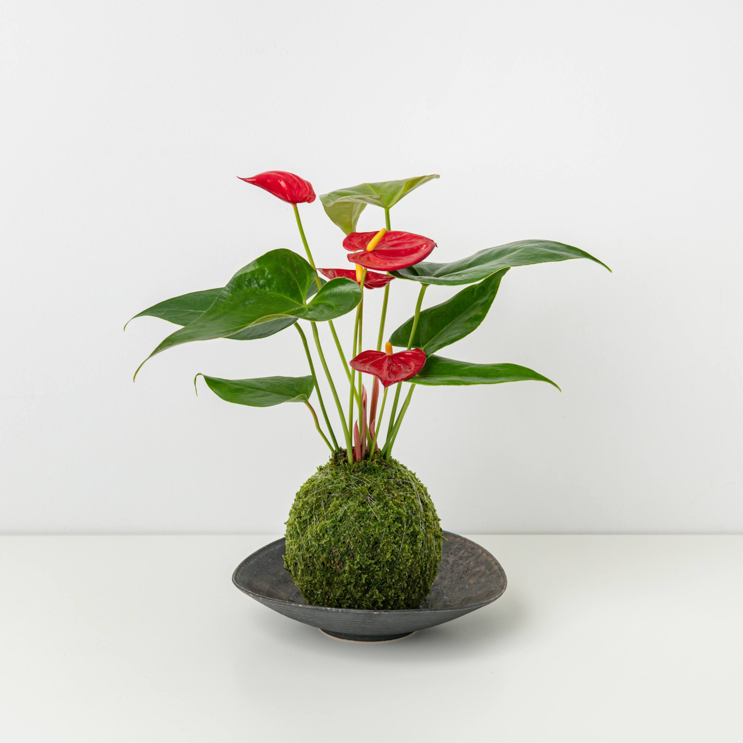 MOSS&GREEN-082.jpg