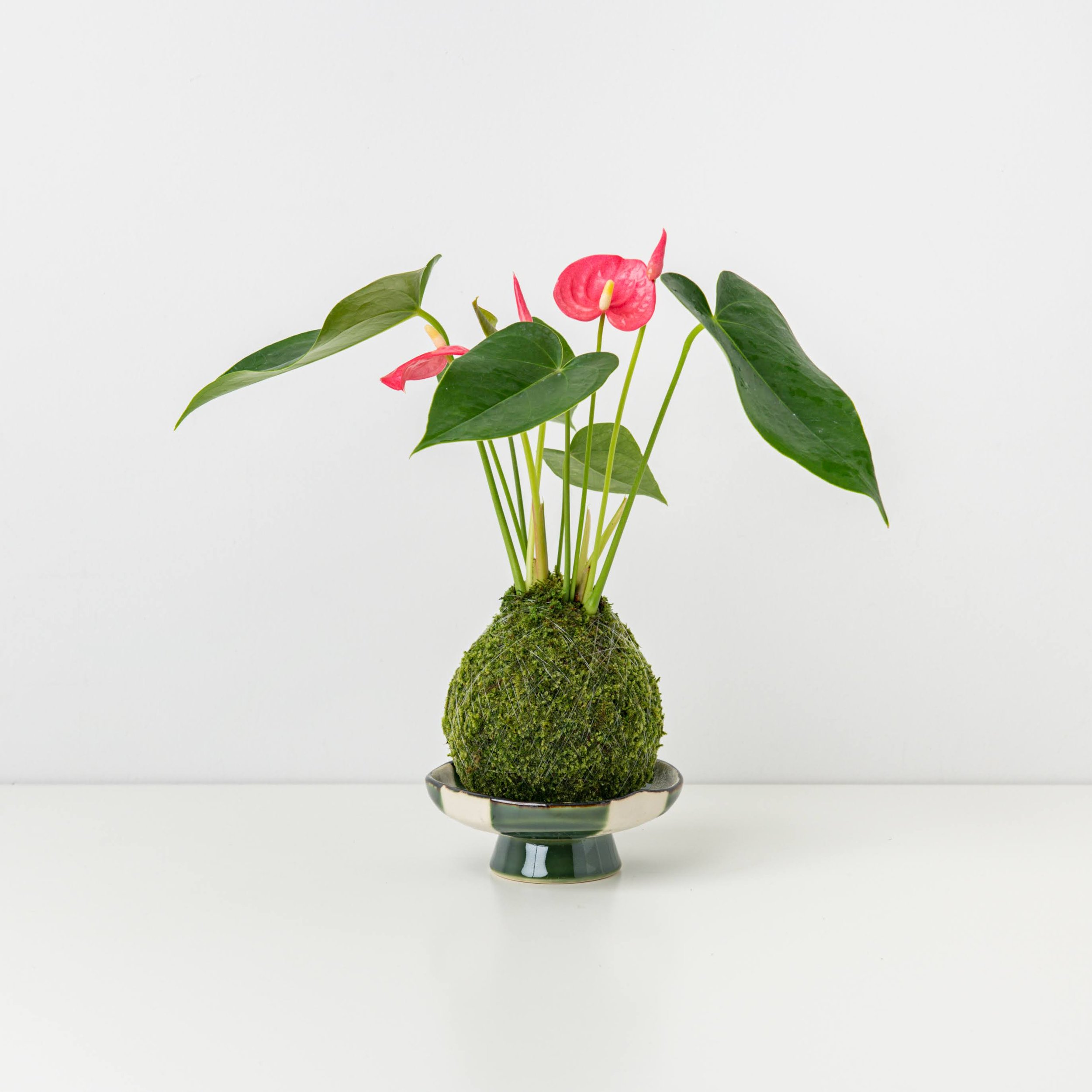MOSS&GREEN-069.jpg