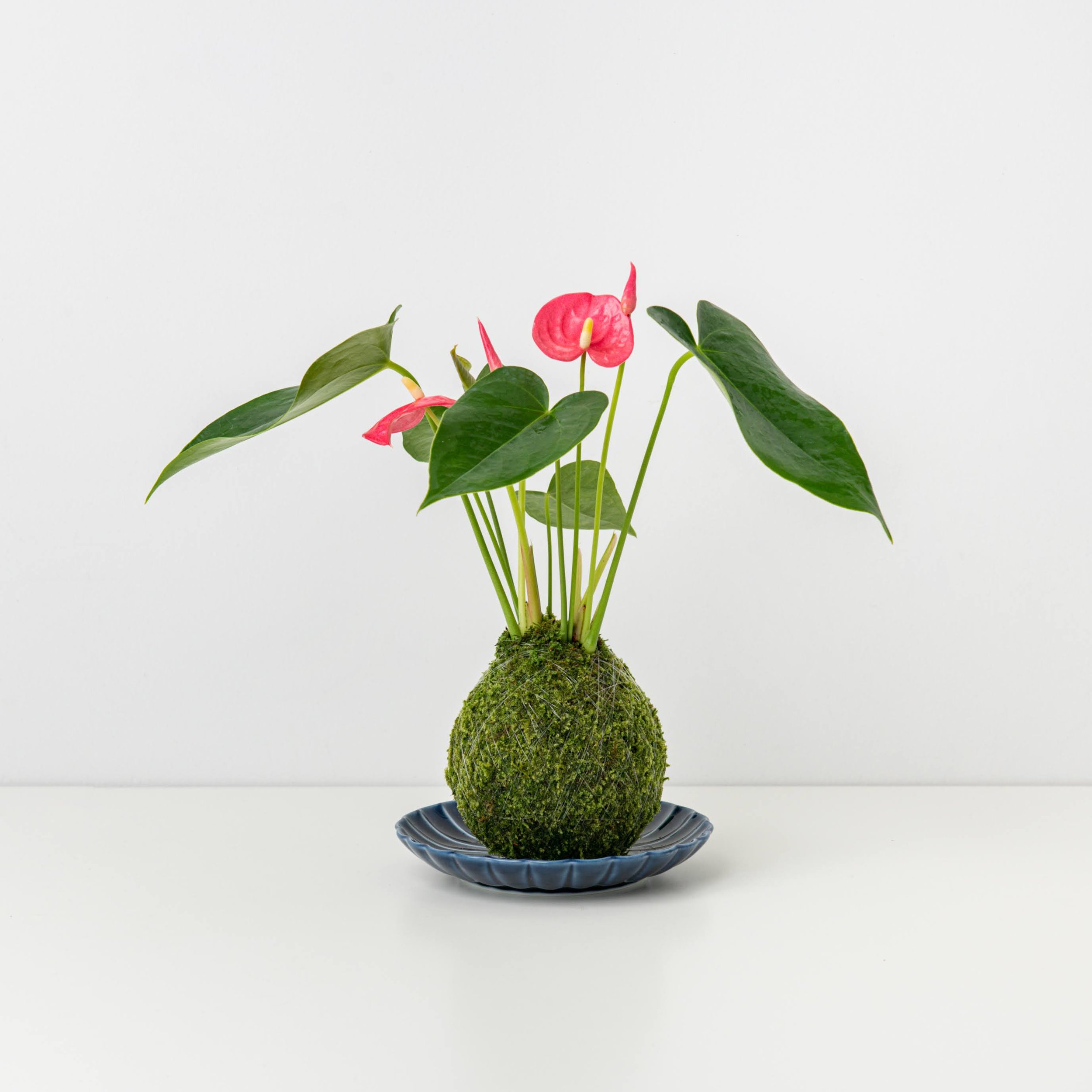 MOSS&GREEN-067.jpg