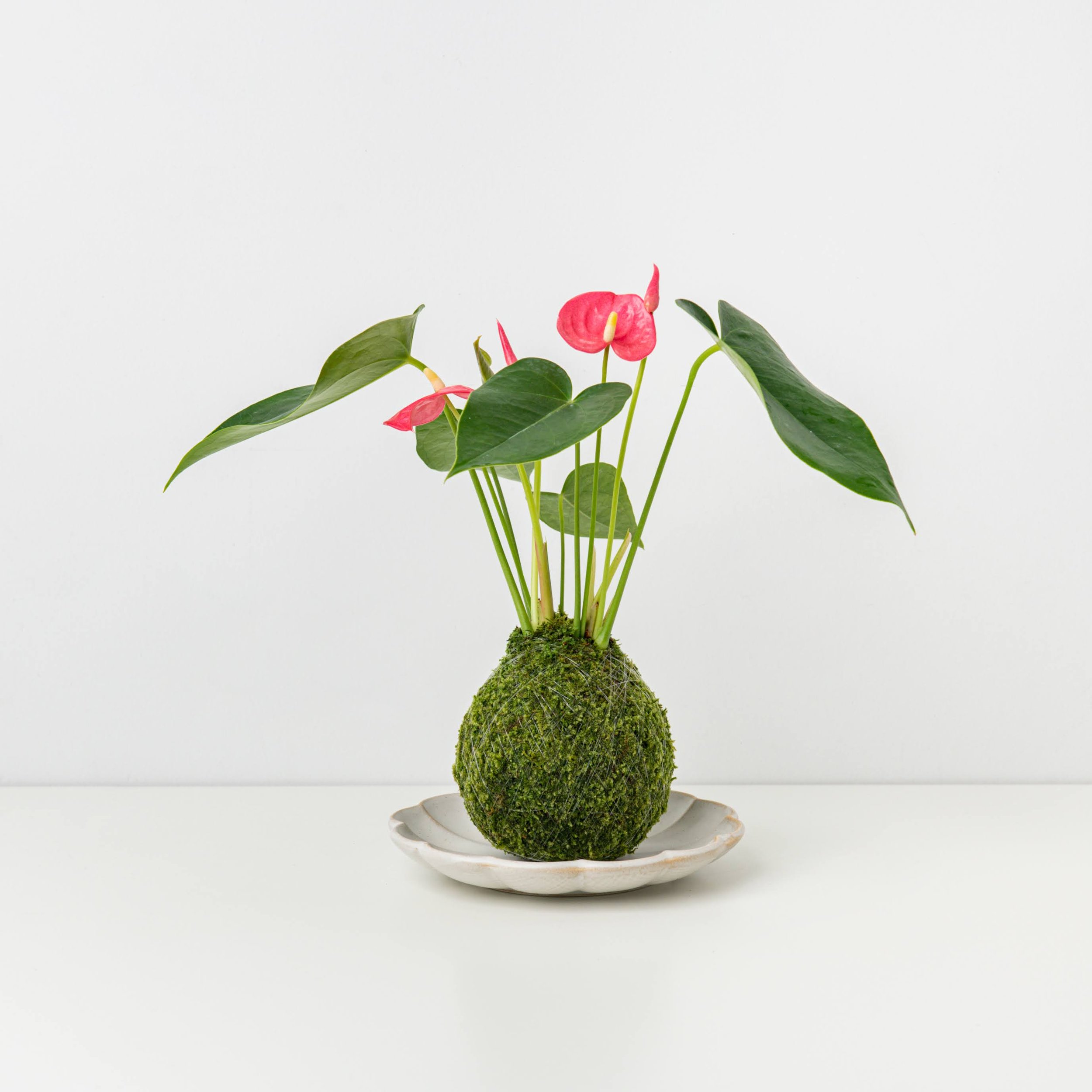 MOSS&GREEN-071.jpg