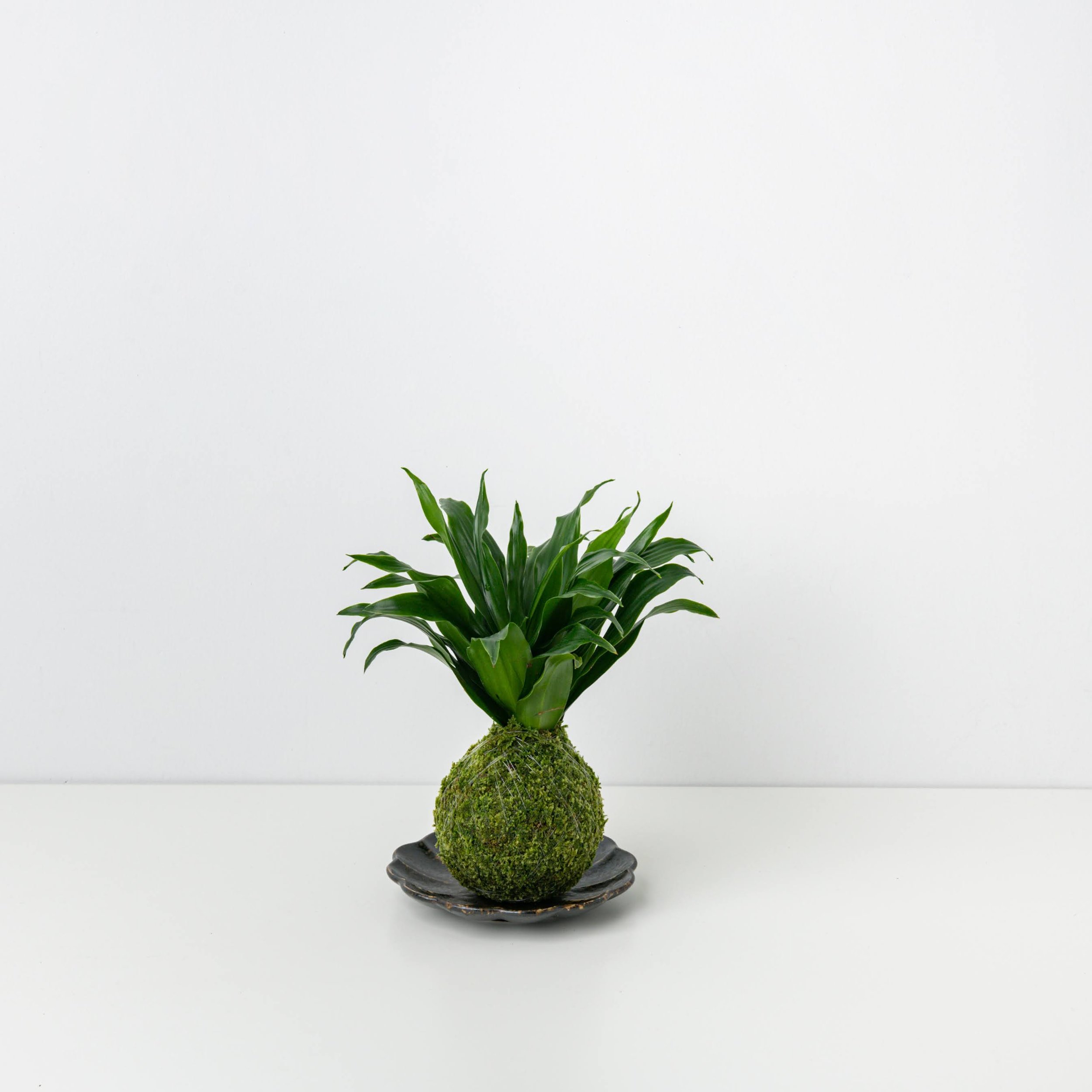 MOSS&GREEN-148.jpg