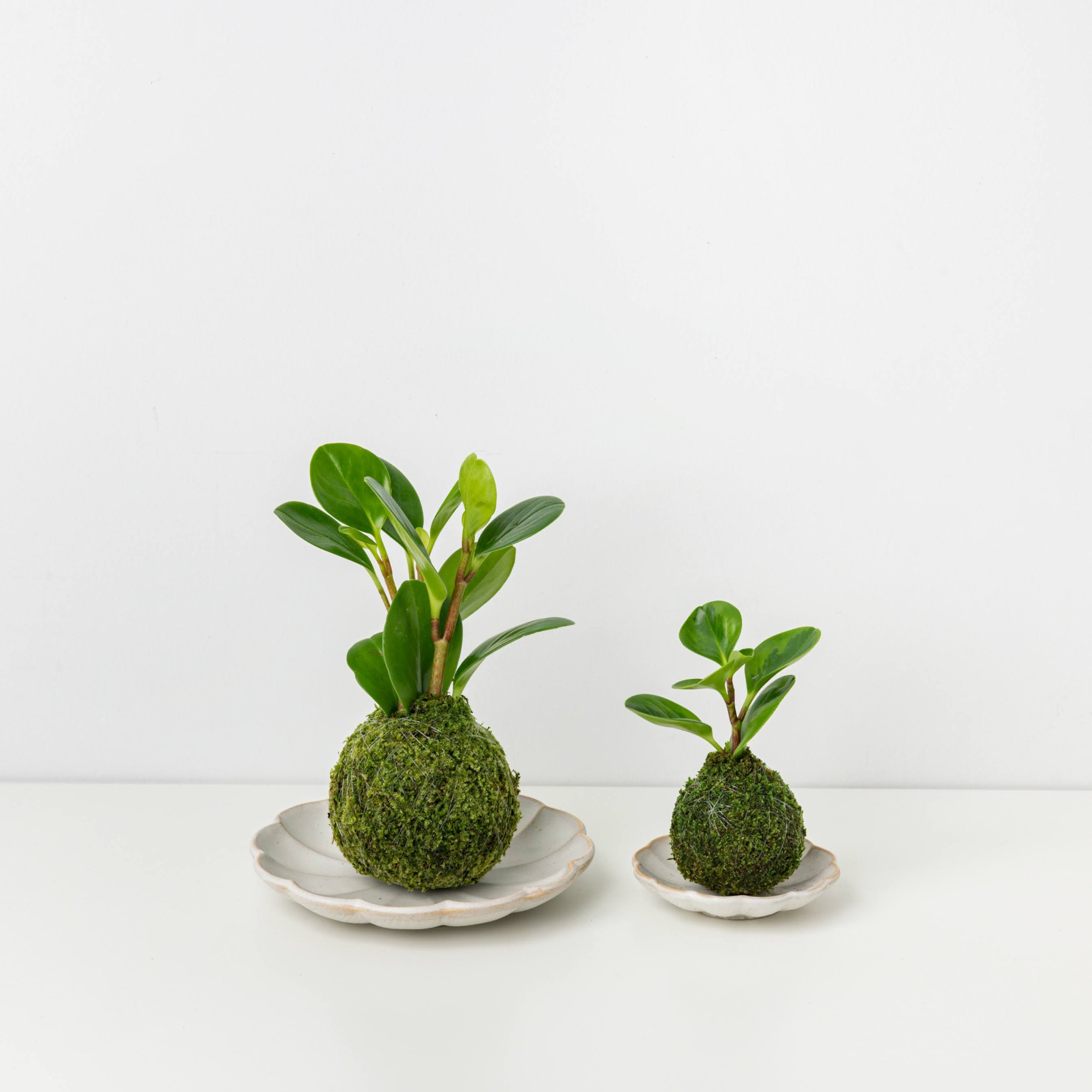 MOSS&GREEN-112.jpg