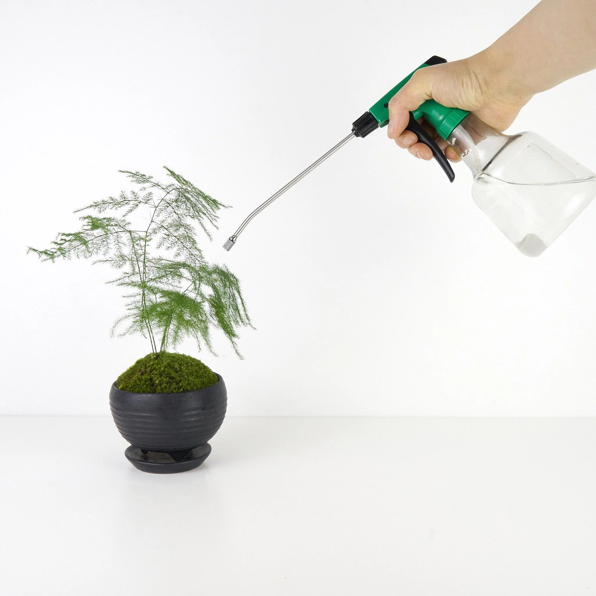 Long Nozzle Plant Mister 17oz  THE MOSS & GREEN