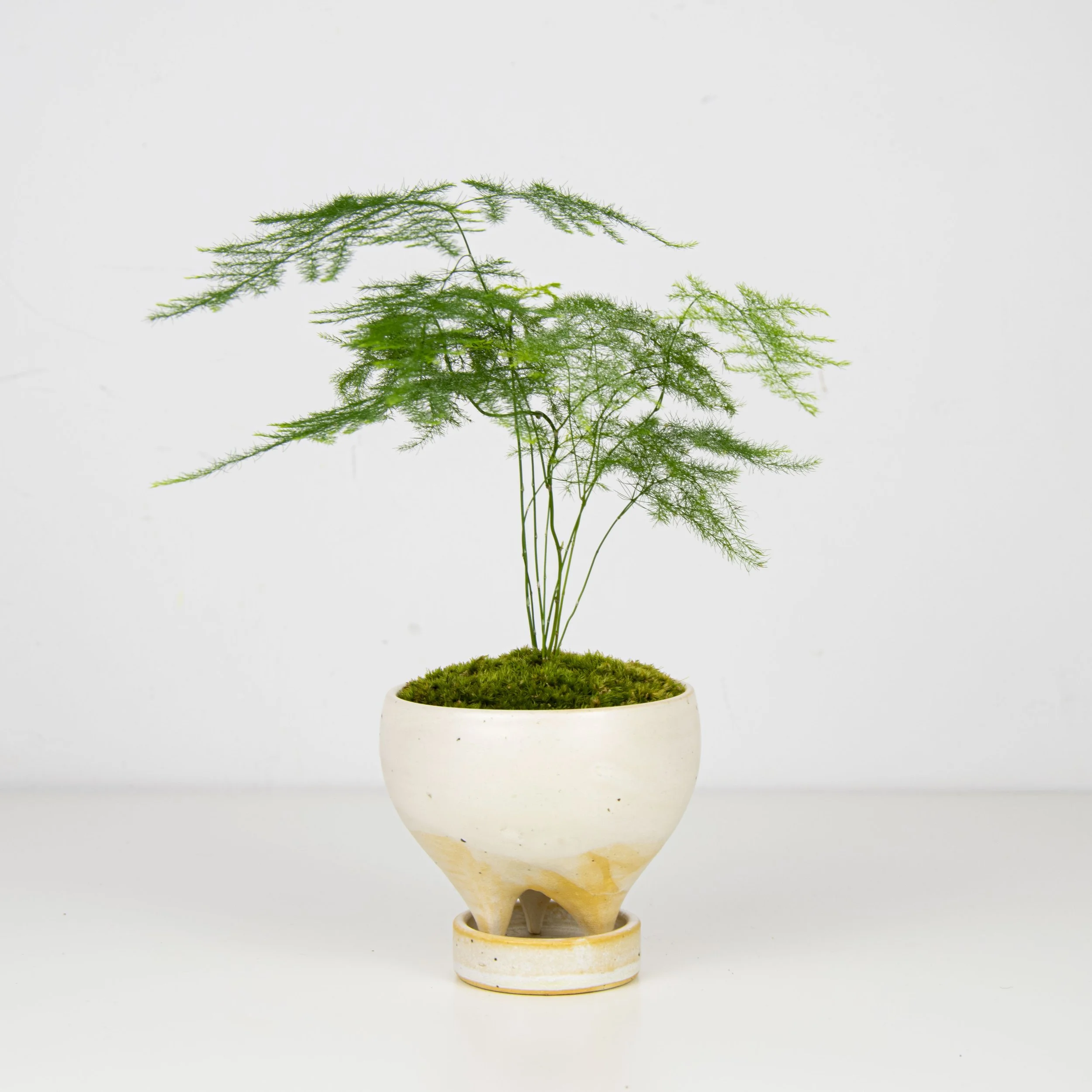 wood pot for plants Faux Wood Tree Stump Planter