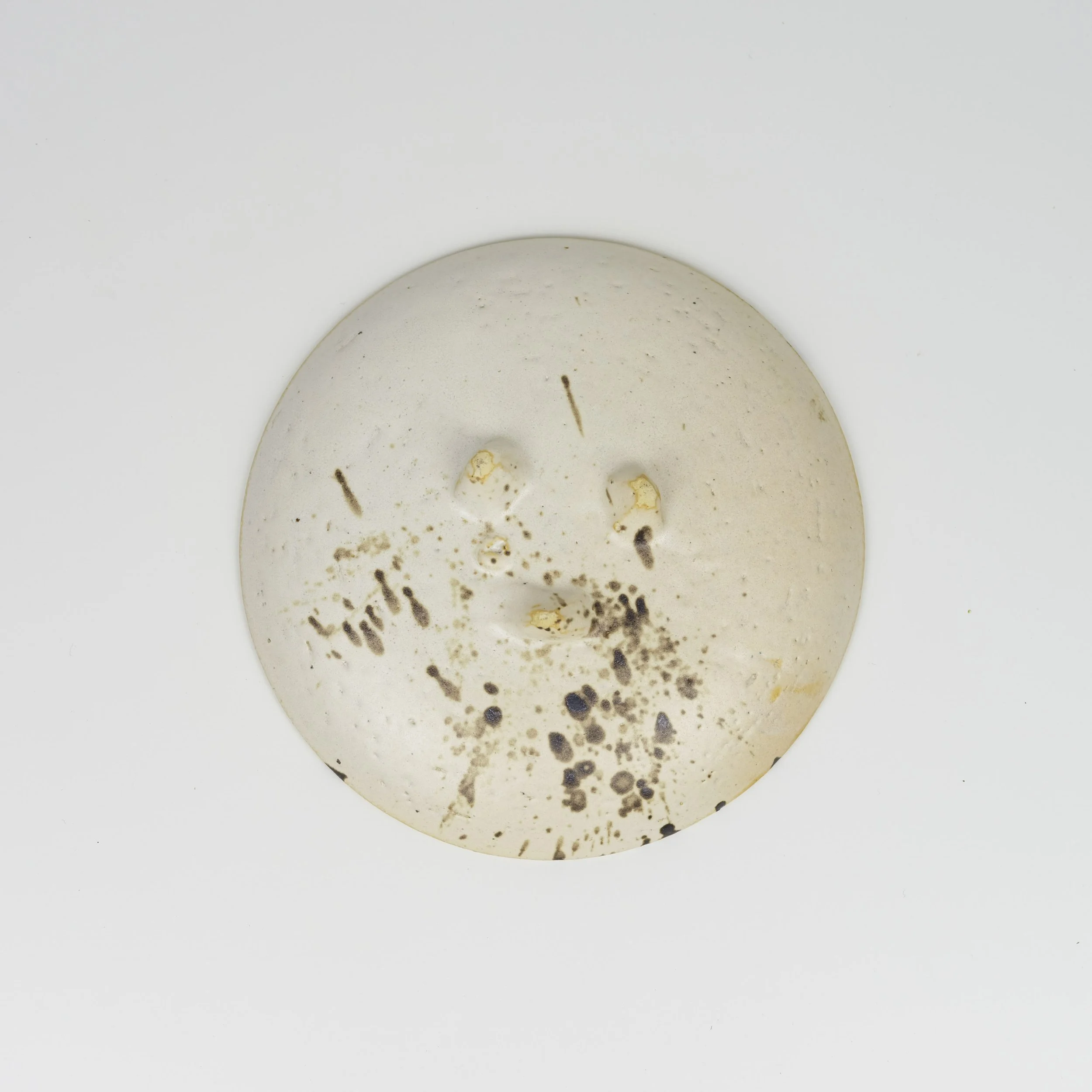 Dish 1-4.jpg