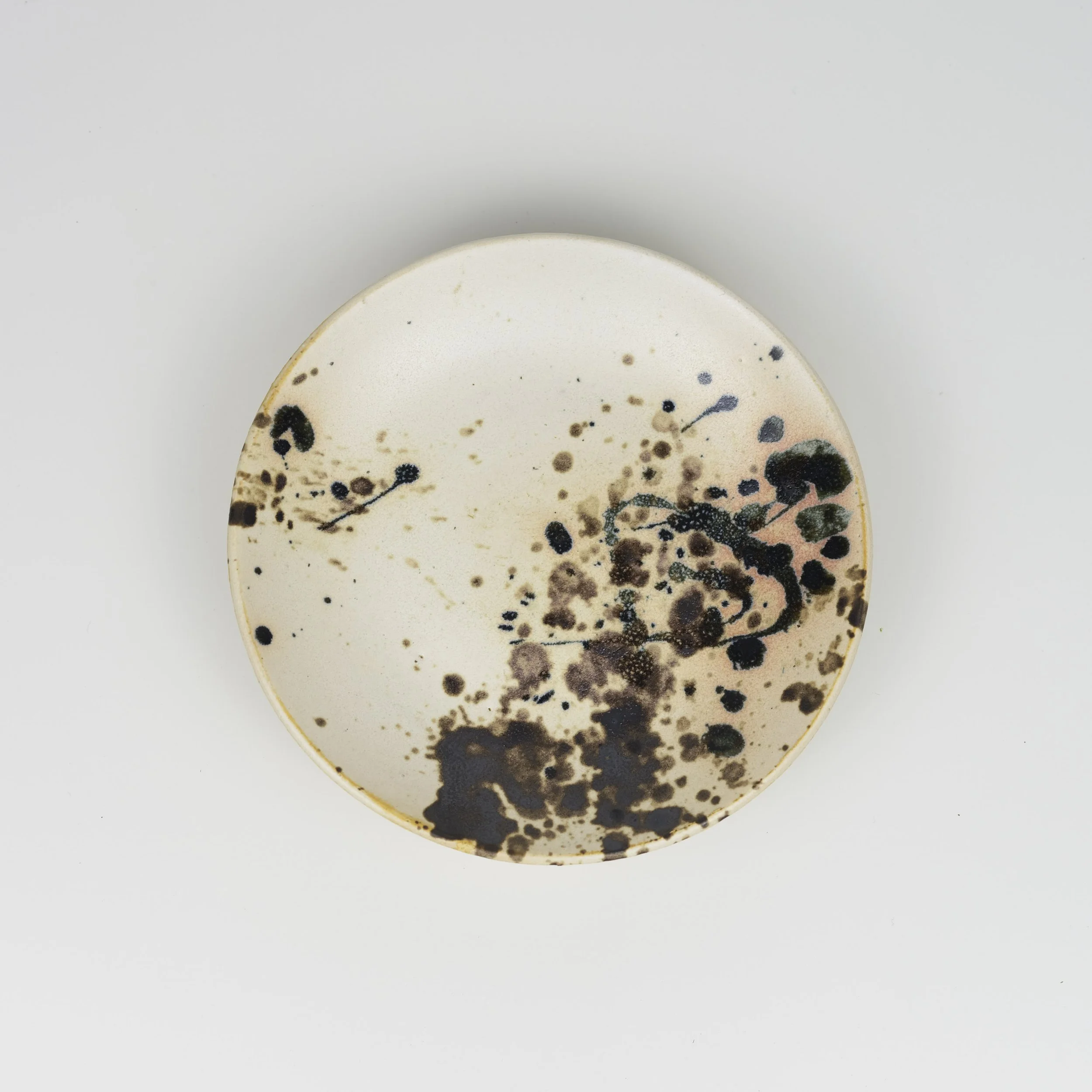 Dish 1-3.jpg