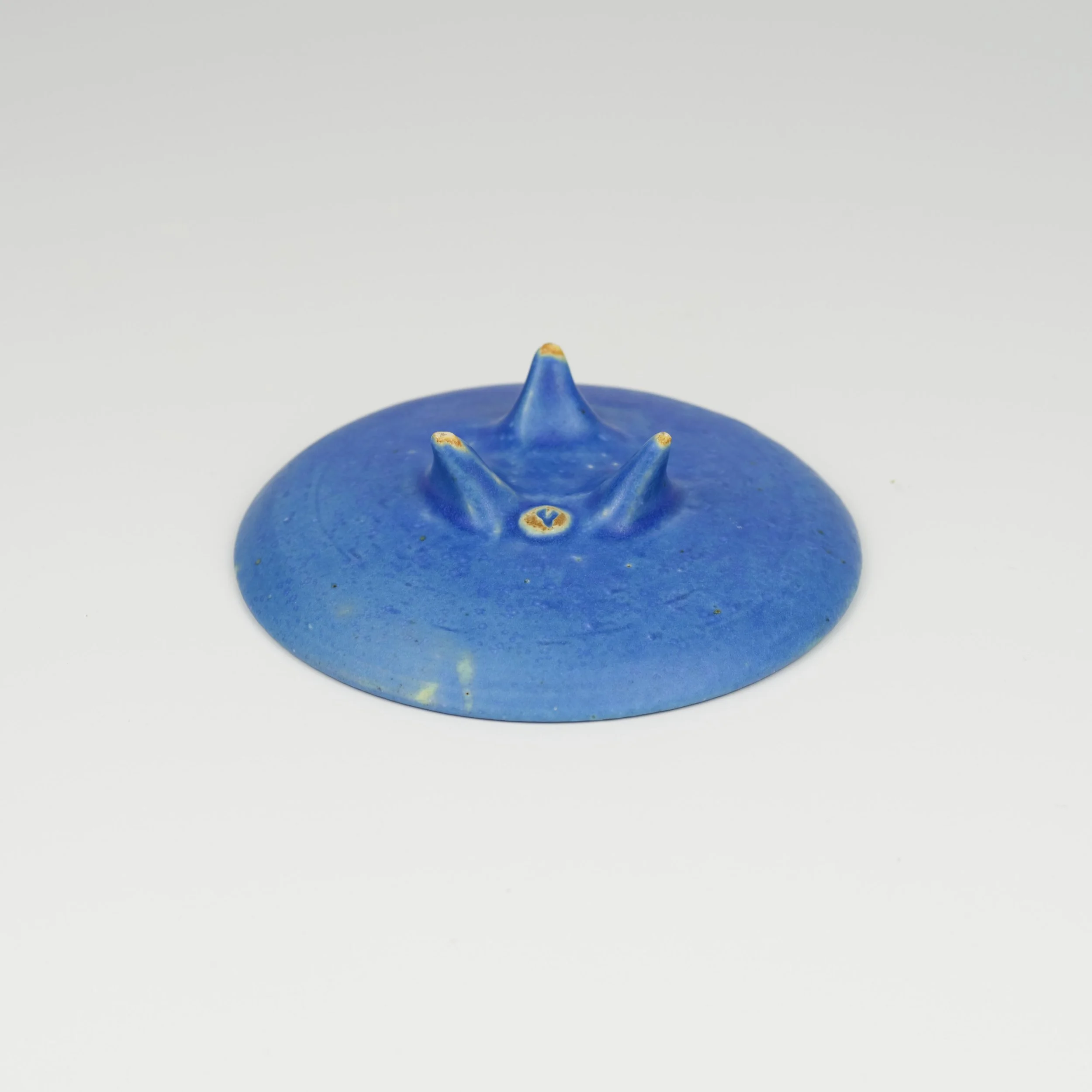 Dish 2-2.jpg