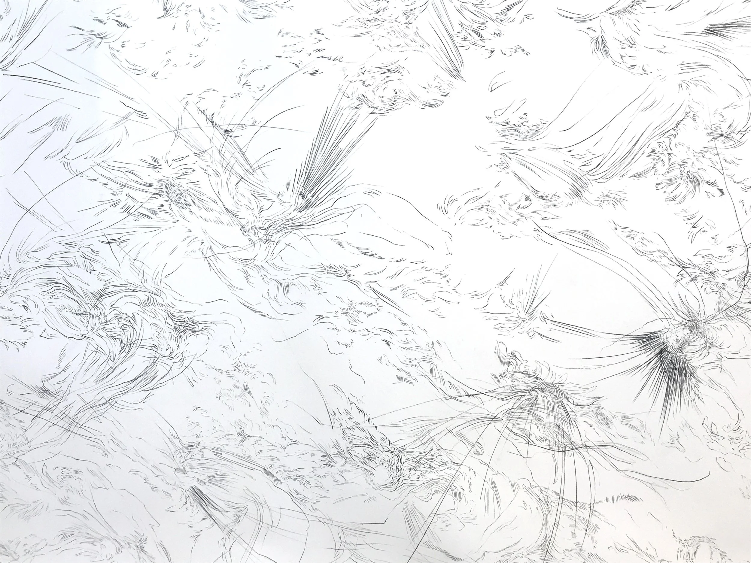 FullSizeRender 2.jpeg