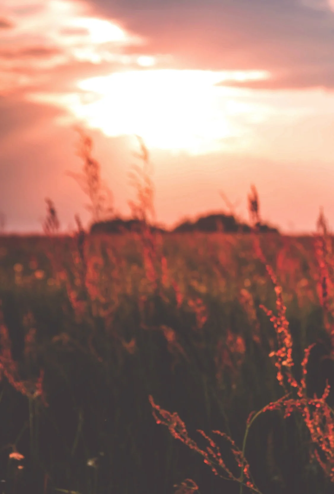 Vördnad för ljuset