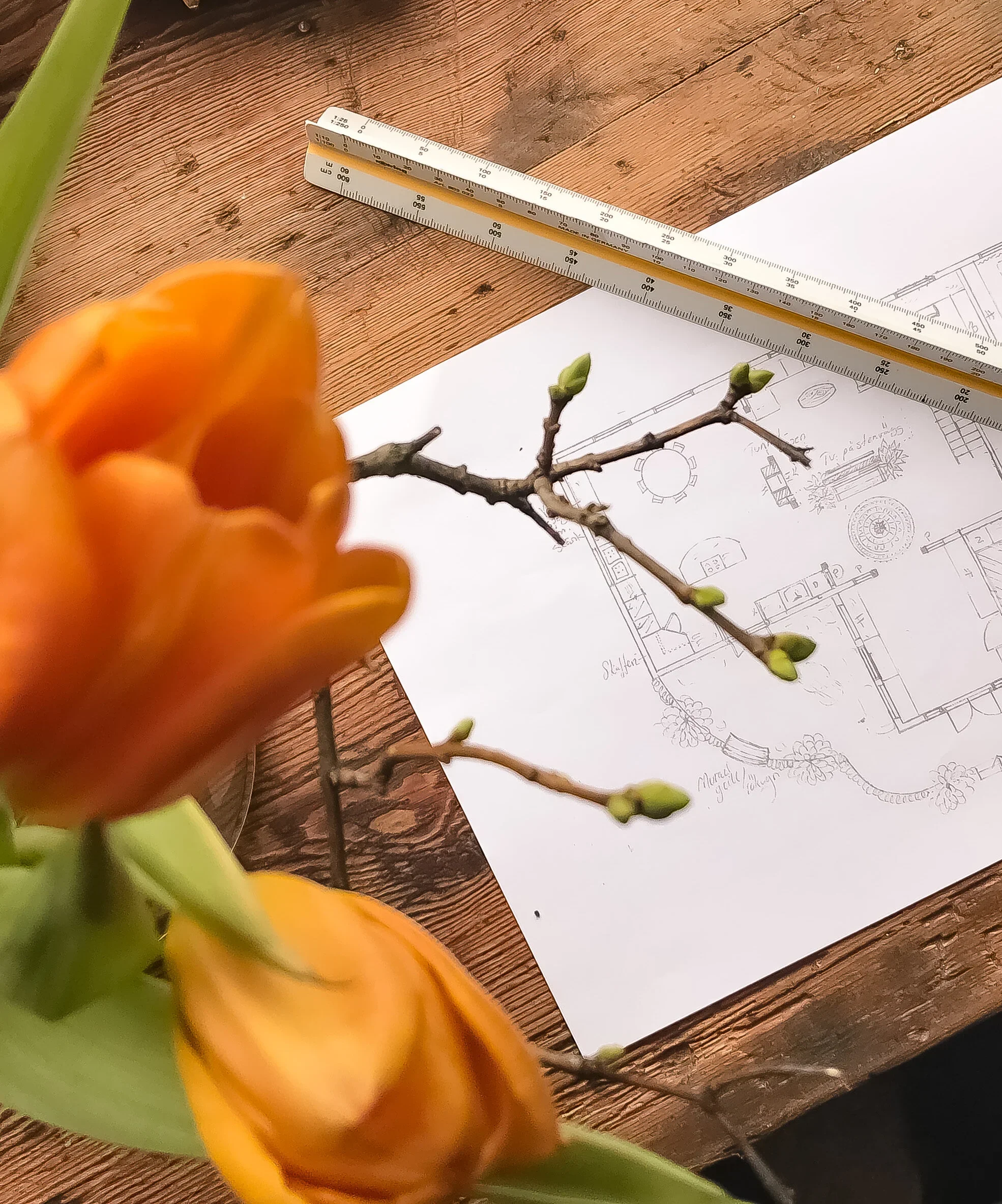 ritning planlösning.webp