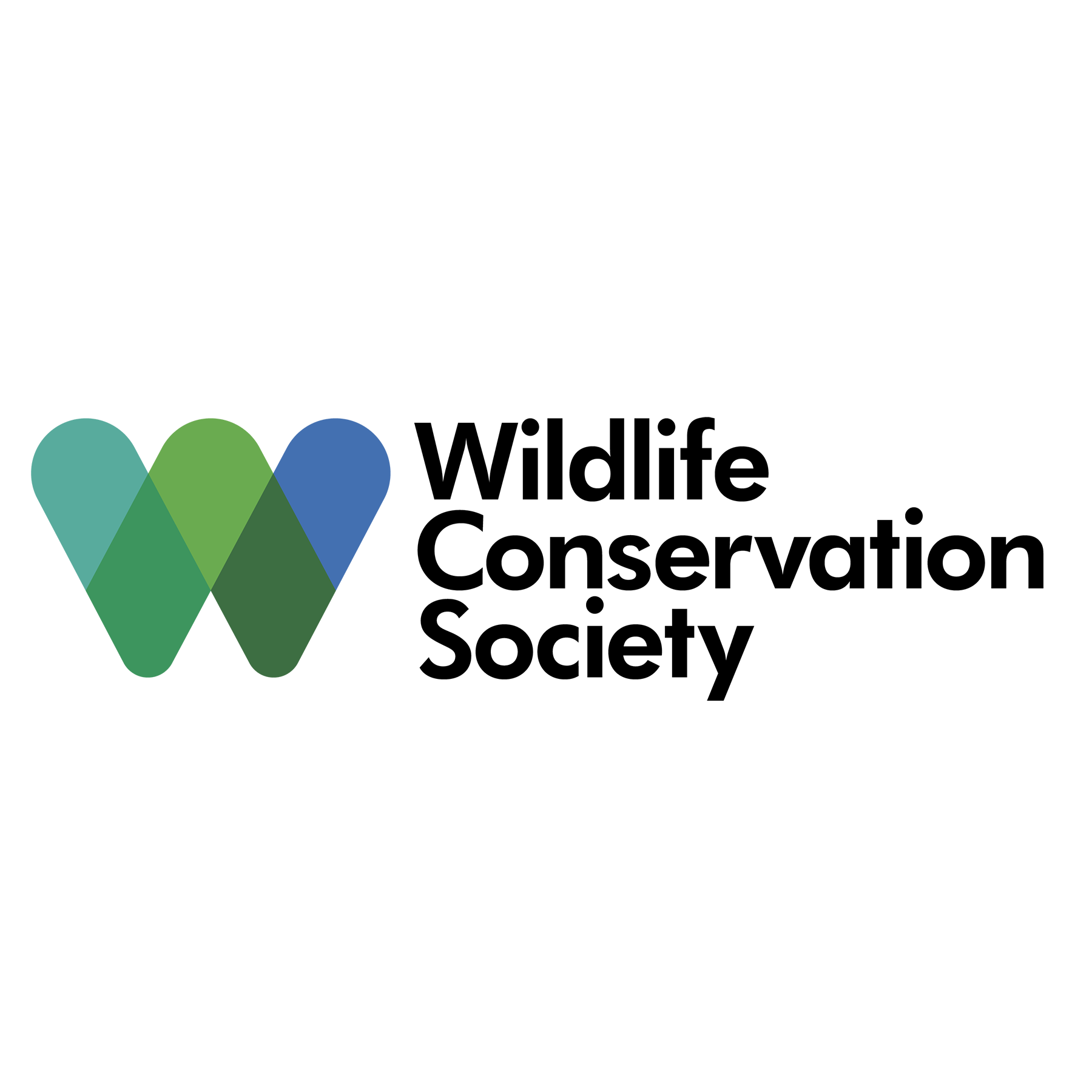 Wildlife conservation. Wildlife Conservation Society. Цшдвдшау сщтмукыфешщт ыщсшнен. WCS logo. Wildlife лого.