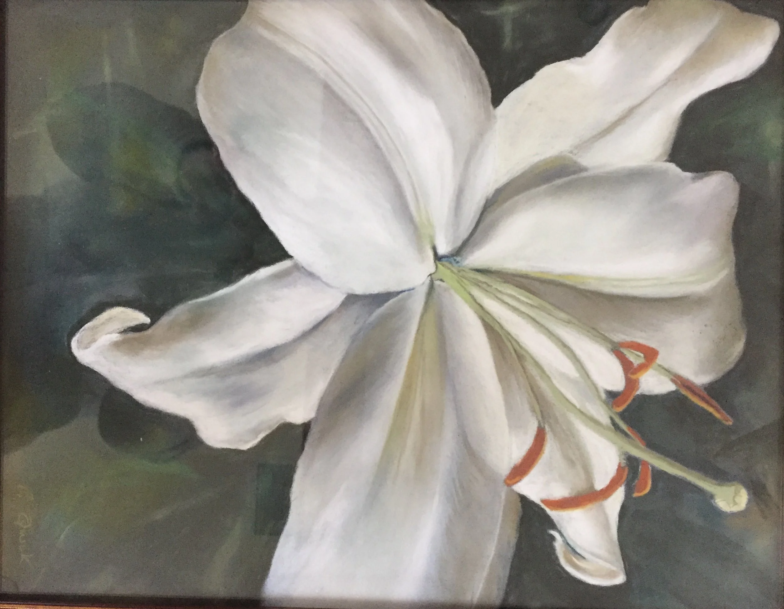 Lily