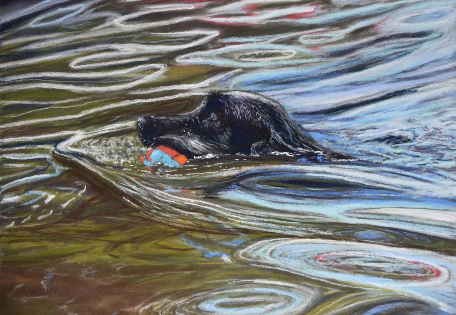 Swim Time for Duncan
