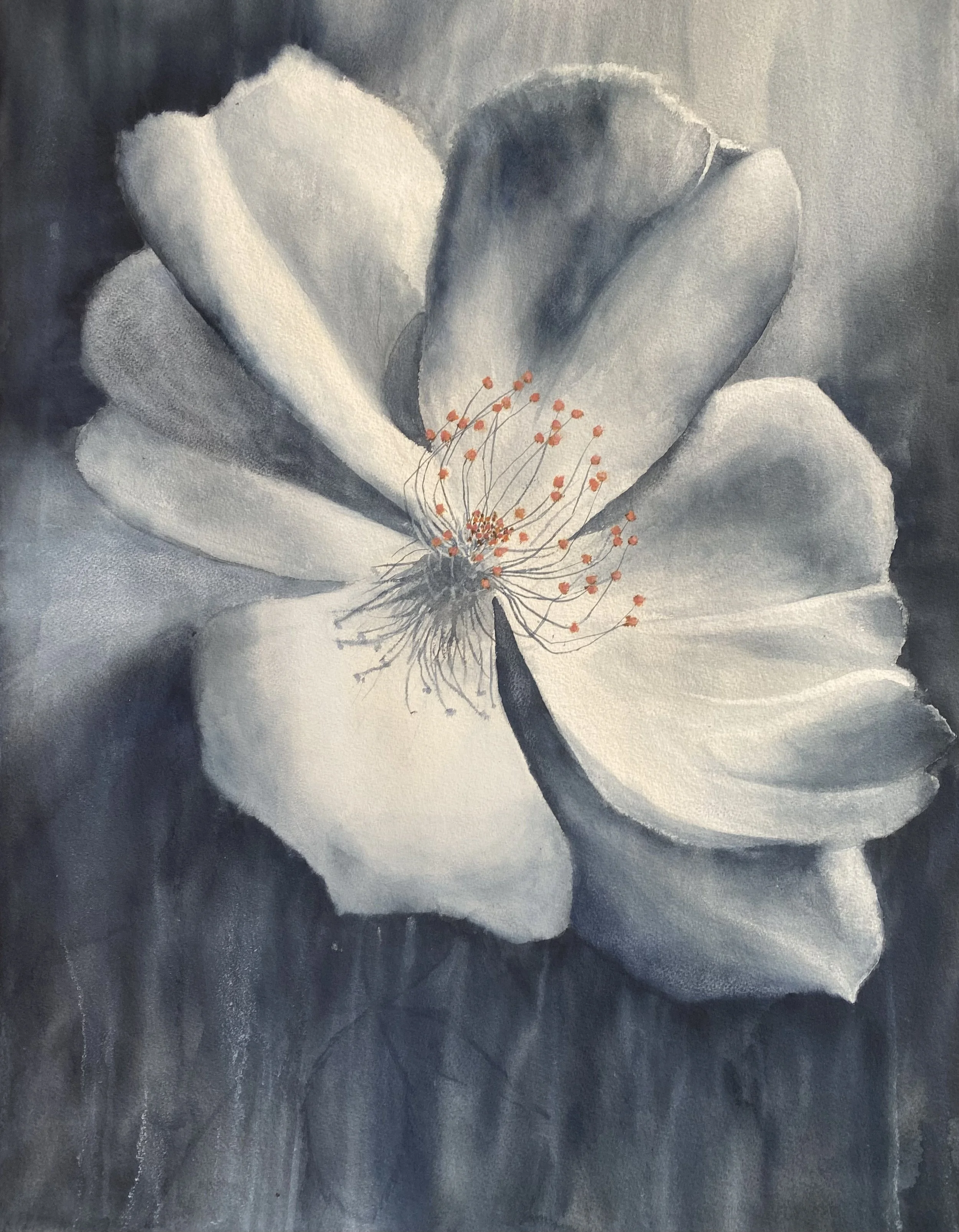 Blossom