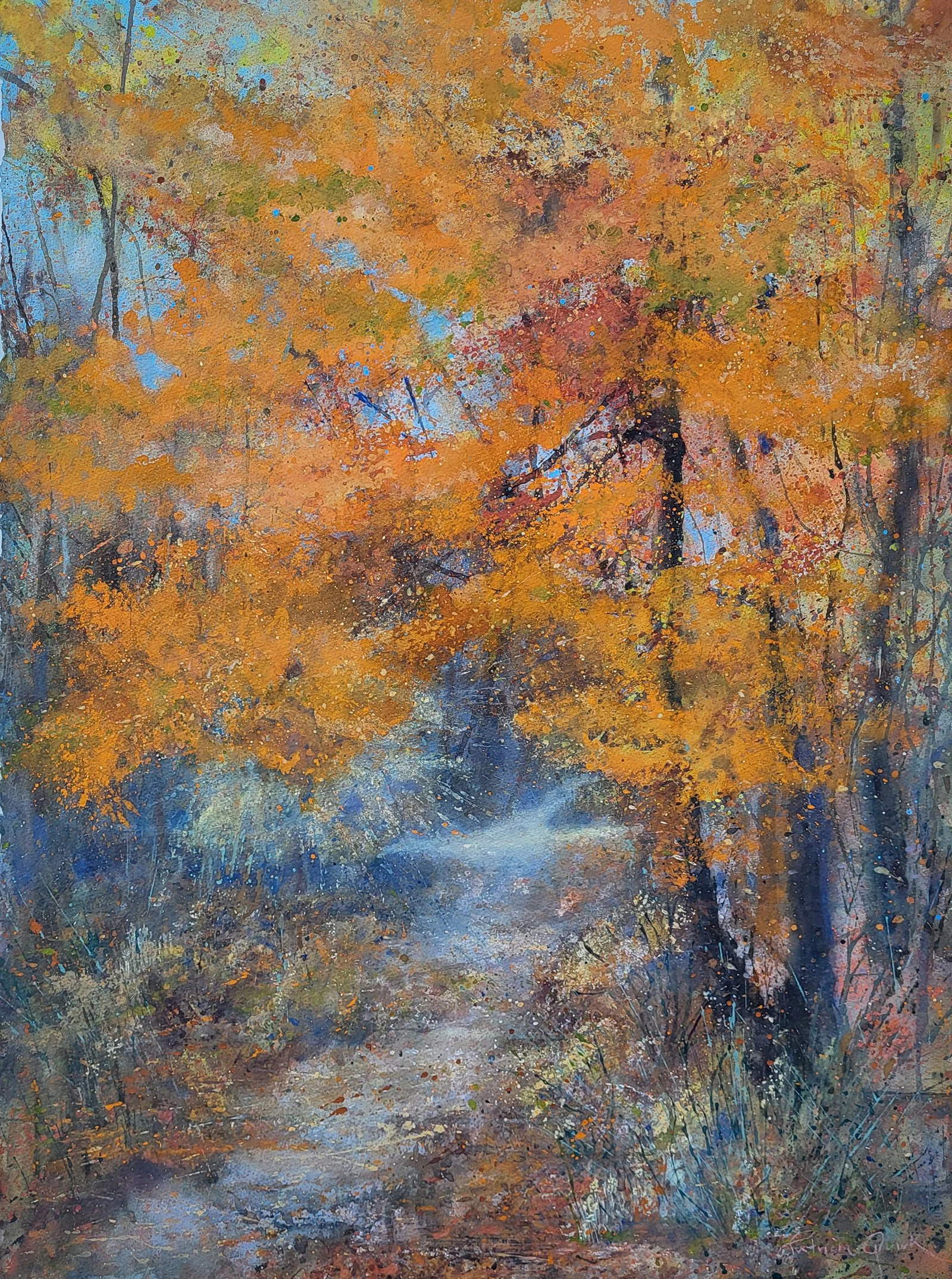 A Walk in the Woods