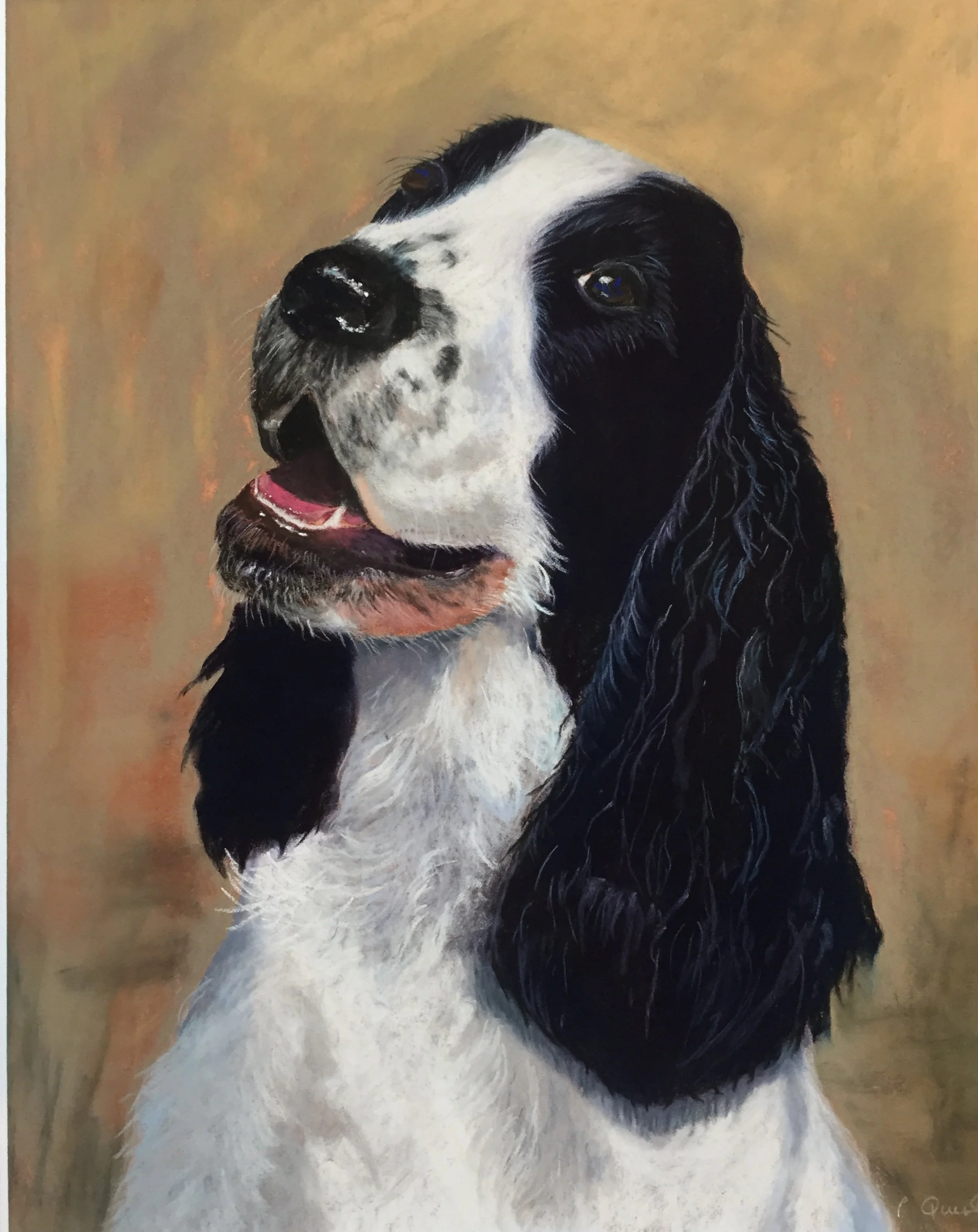 Dougal