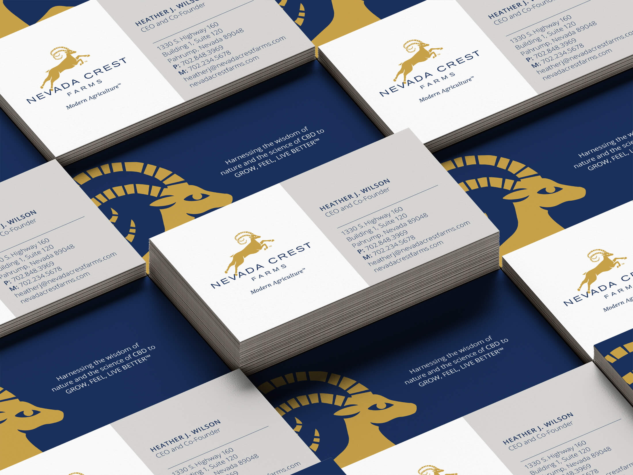 NCF BusinessCardMockup.jpg
