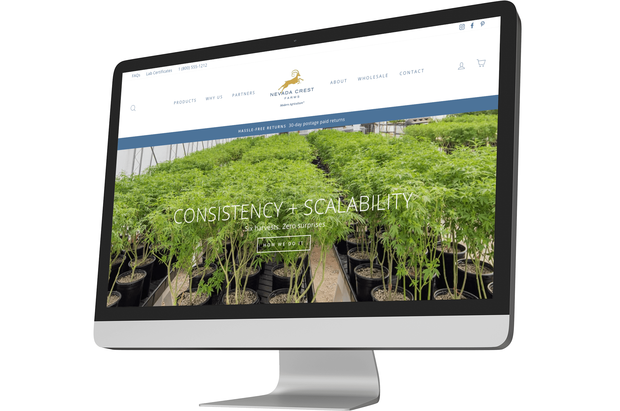 NCF Computer Screen.png