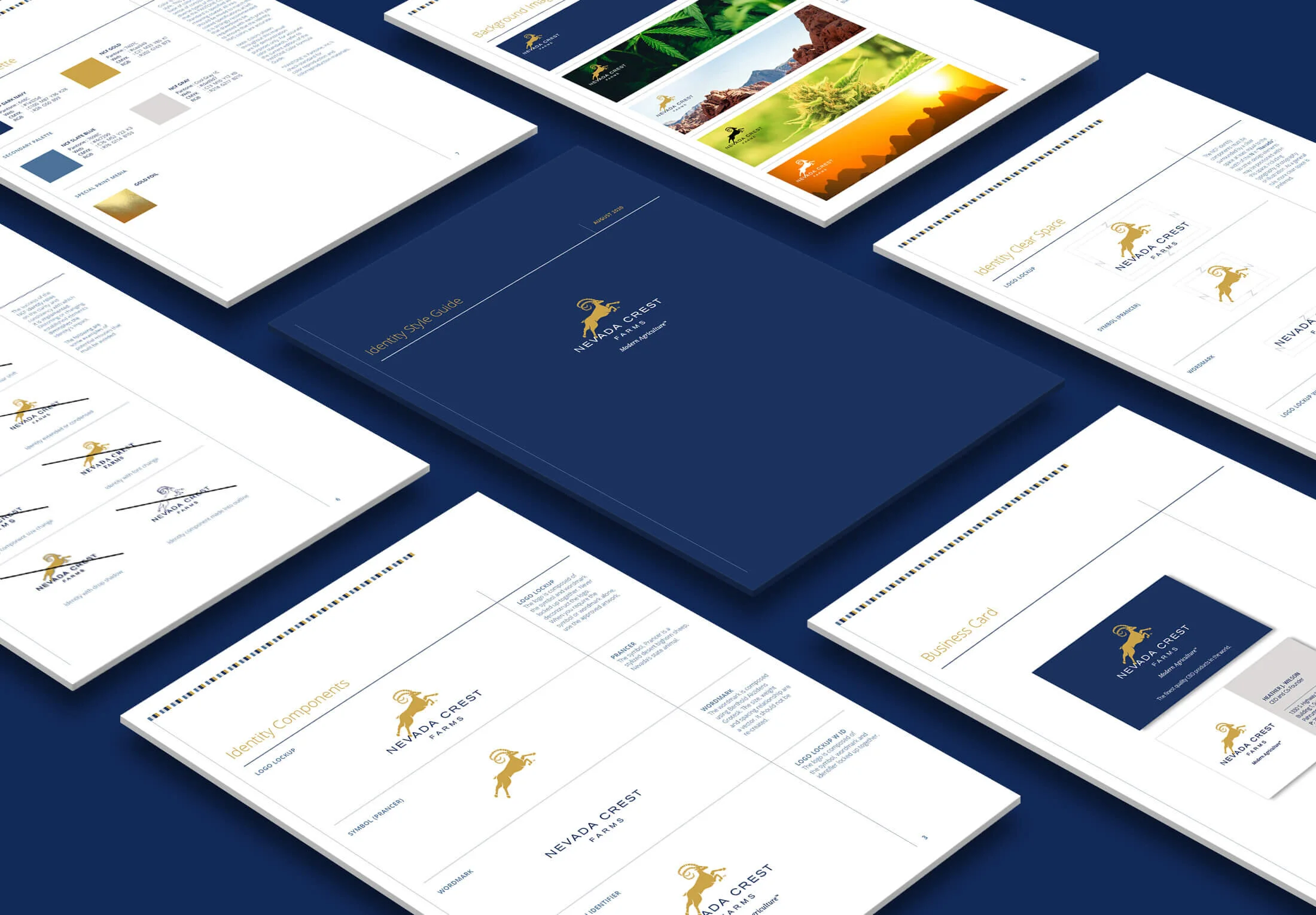 NCF StyleGuide Mockup.jpg