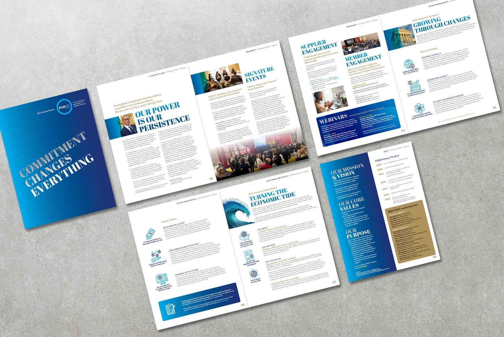 FSRSD 2020 Annual Review New2.jpg