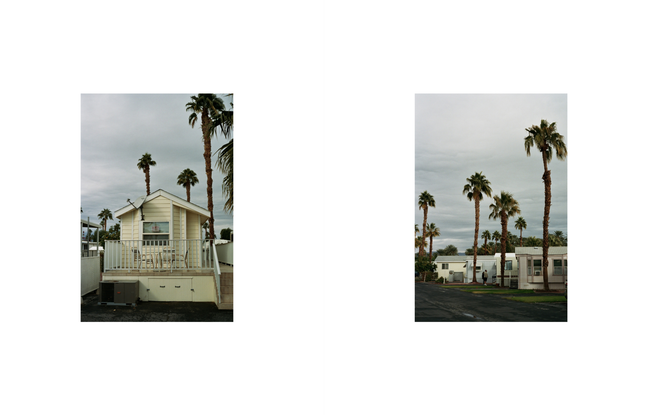 Screen Shot 2019-02-21 at 4.51.50 PM.png