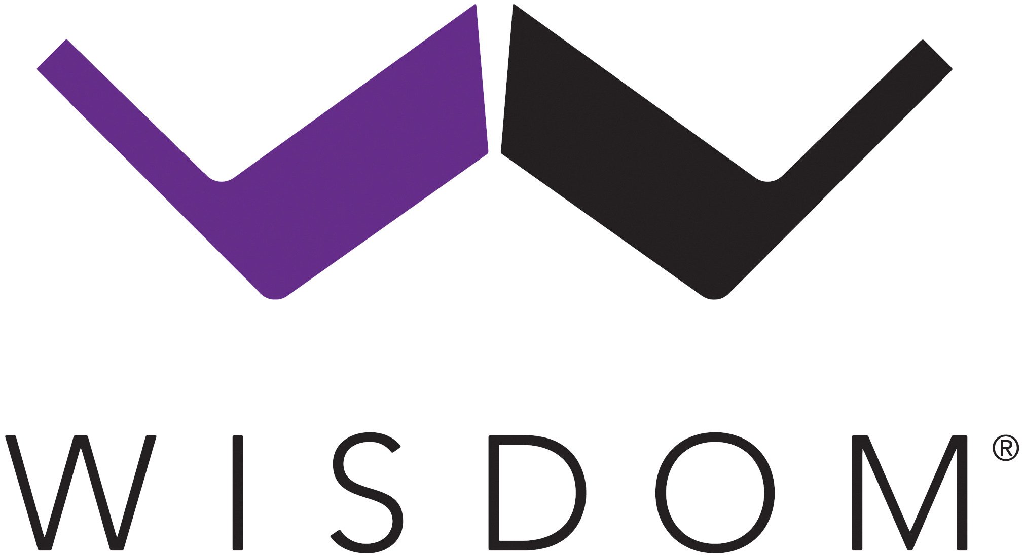 Wisdom Audio Logo Standard.jpg