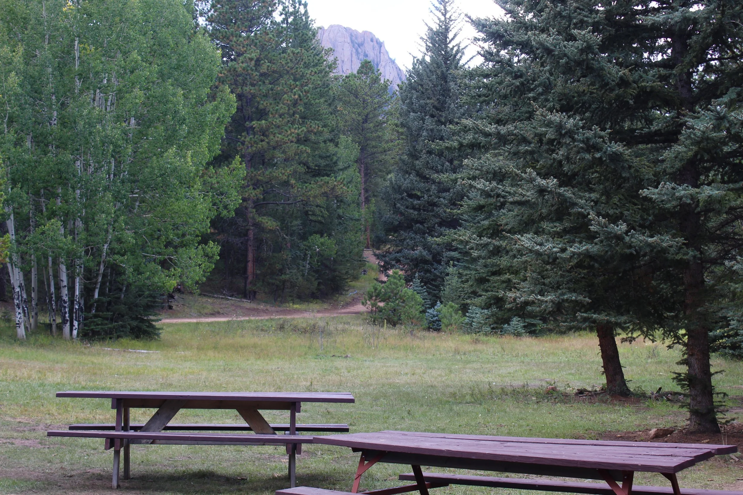 View of the Castle and the private drive from the smaller camping meadow.