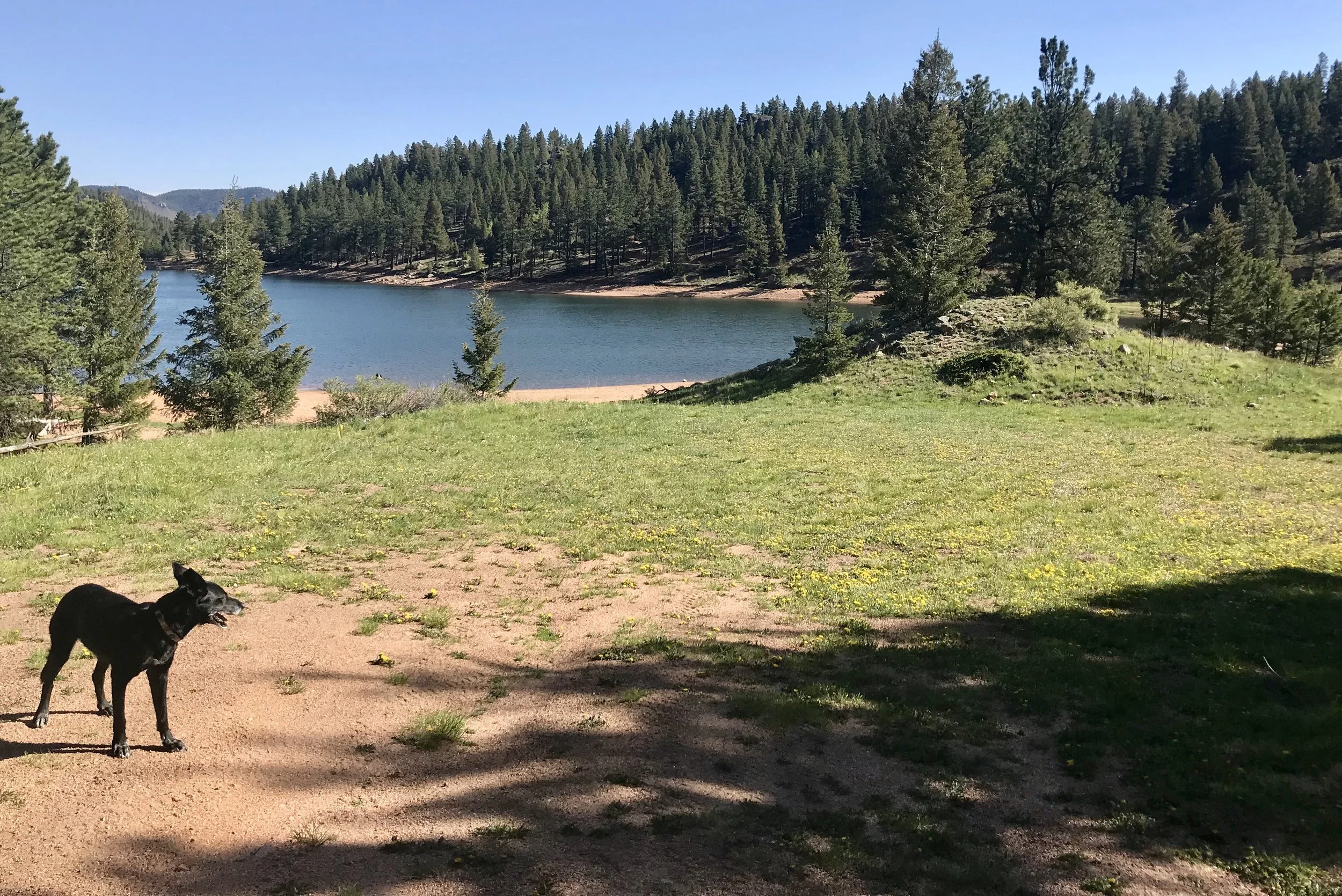 A quick walk brings you to a nice grassy picnic area and beach.
