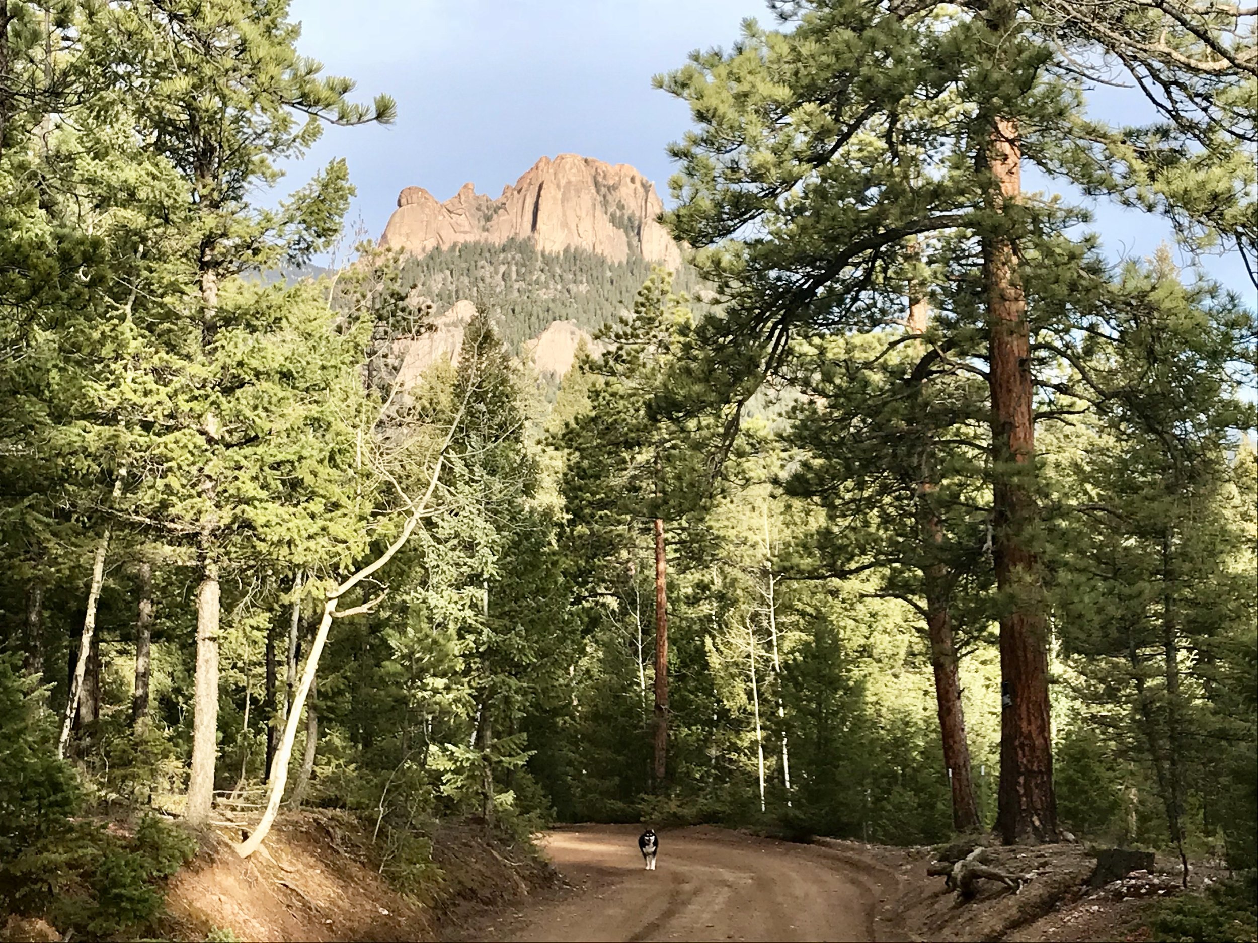 Great view of The Castle while biking on Forest Road 560, Stoney Pass Road.